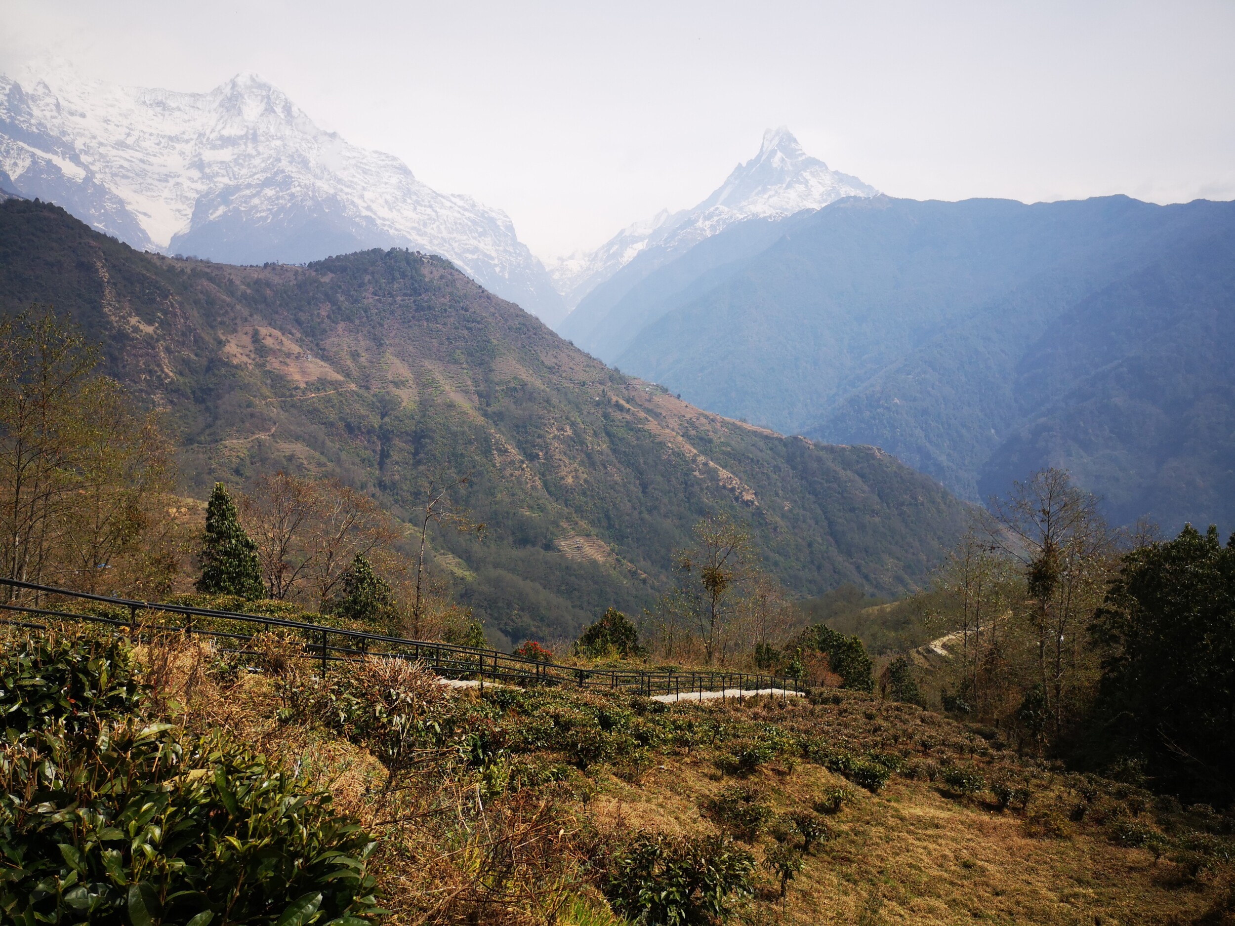 Nepal Rondreis