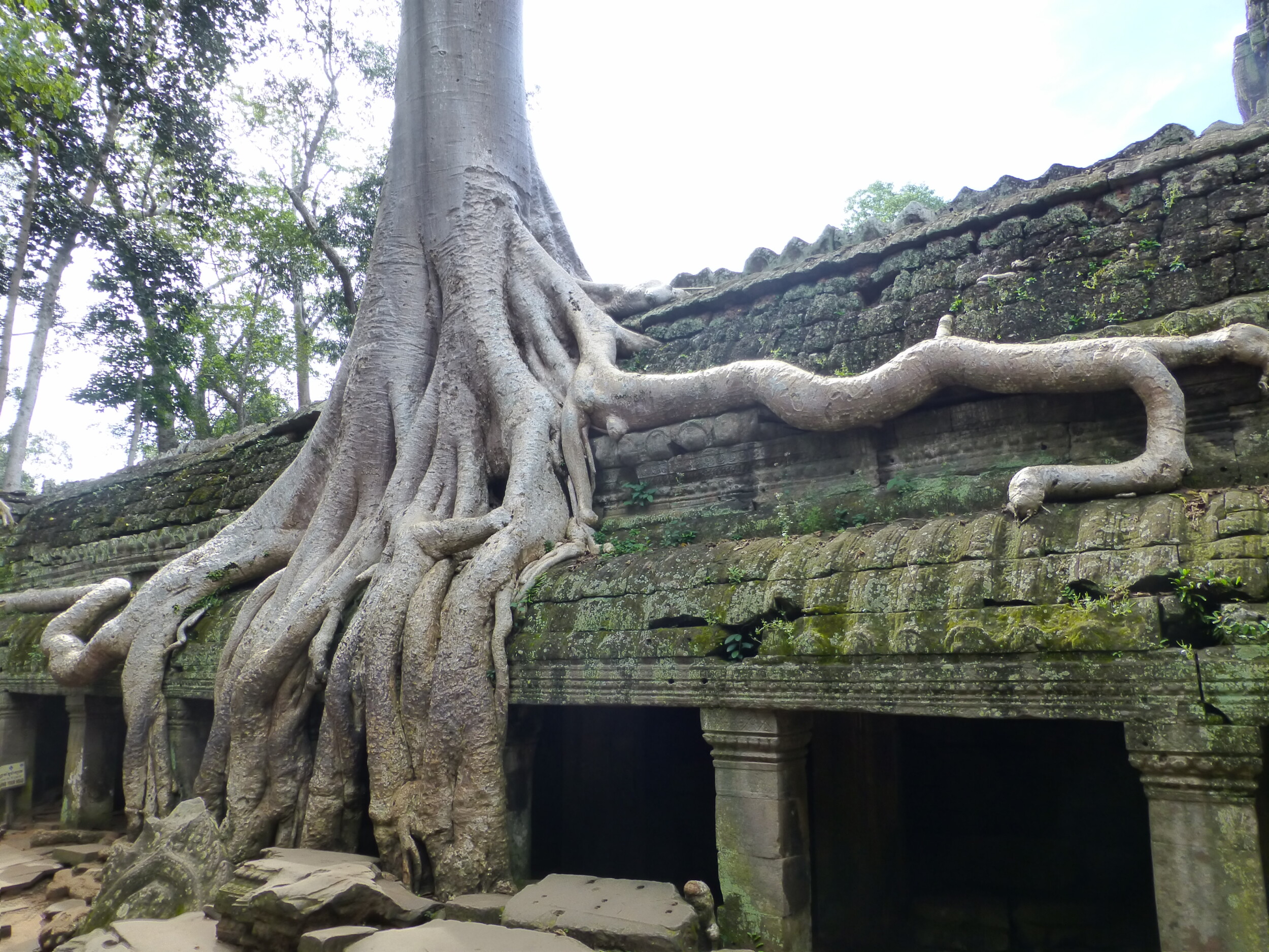 Rondreis Cambodja