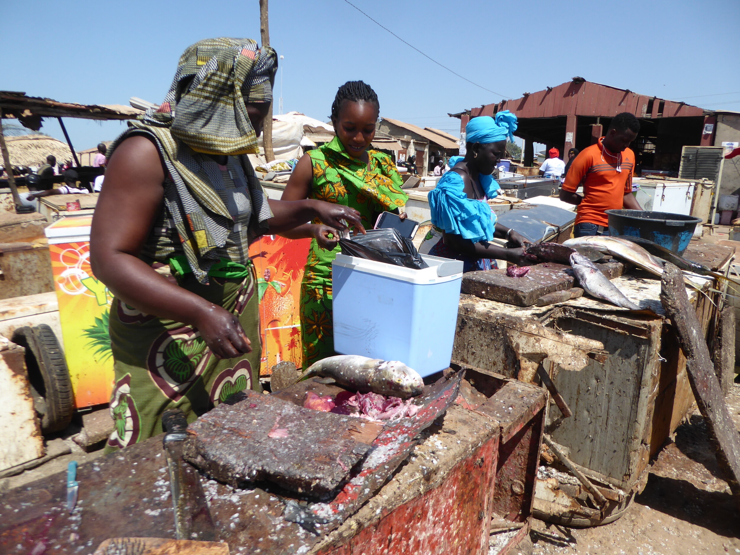 The Gambia Reizen