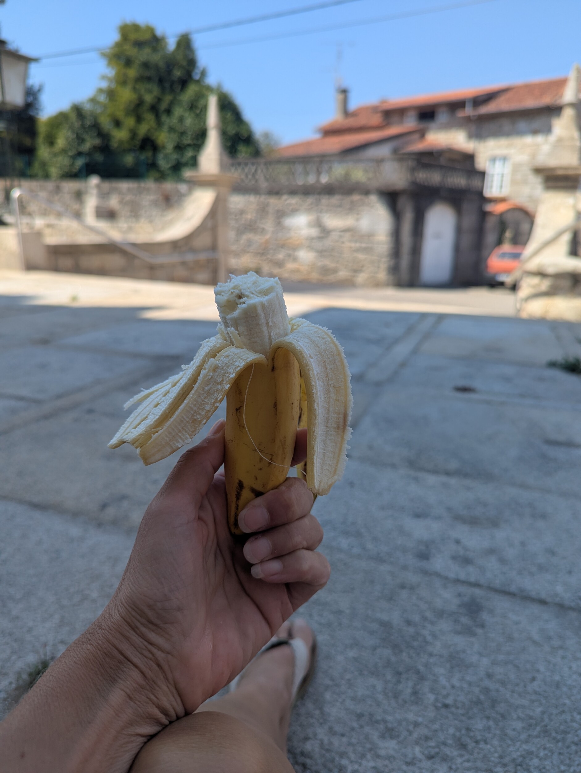 In de schaduw mijn banaantje eten, Camino Portugues