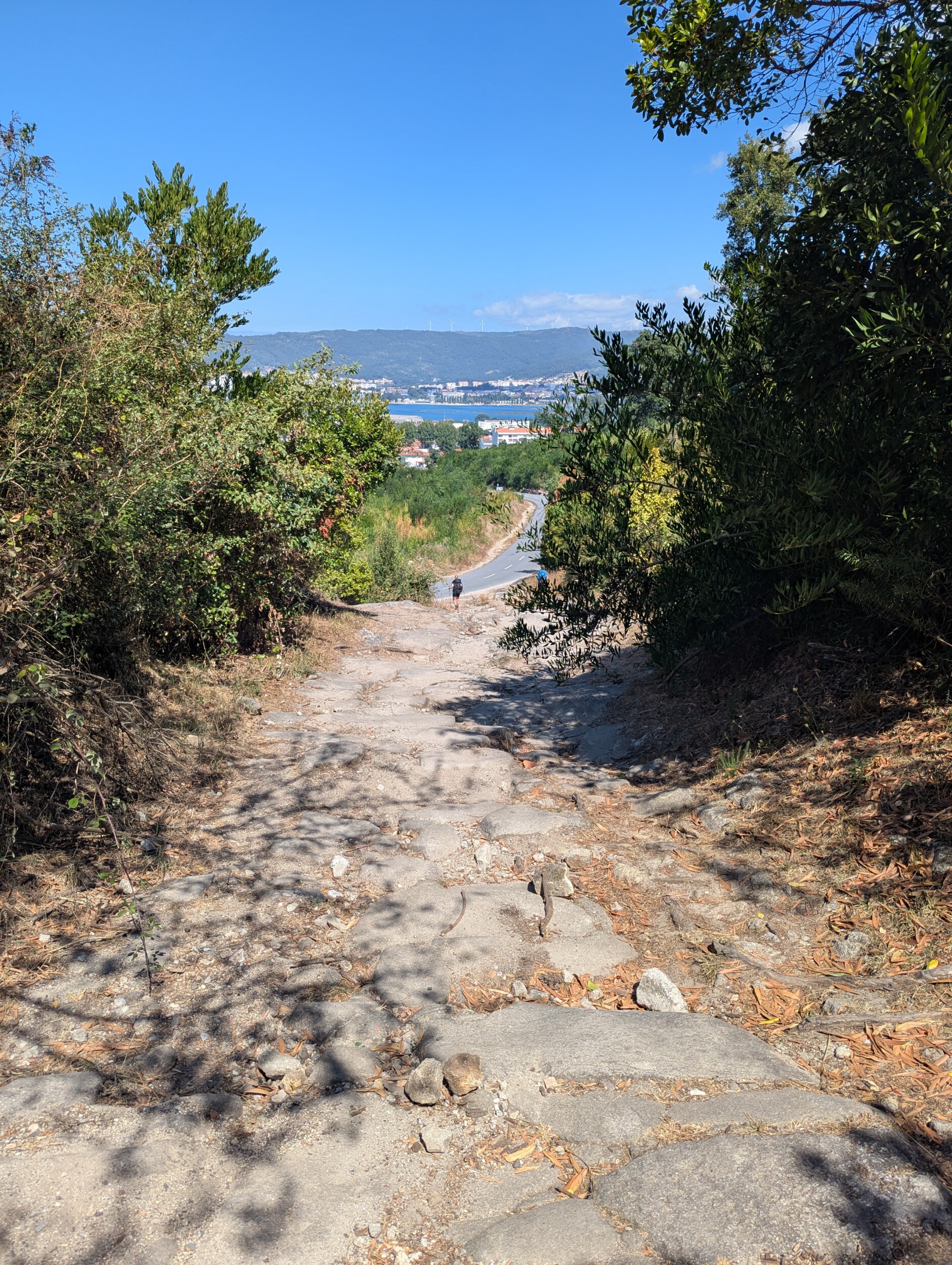 afdaling naar viana do castelo - camino portugues