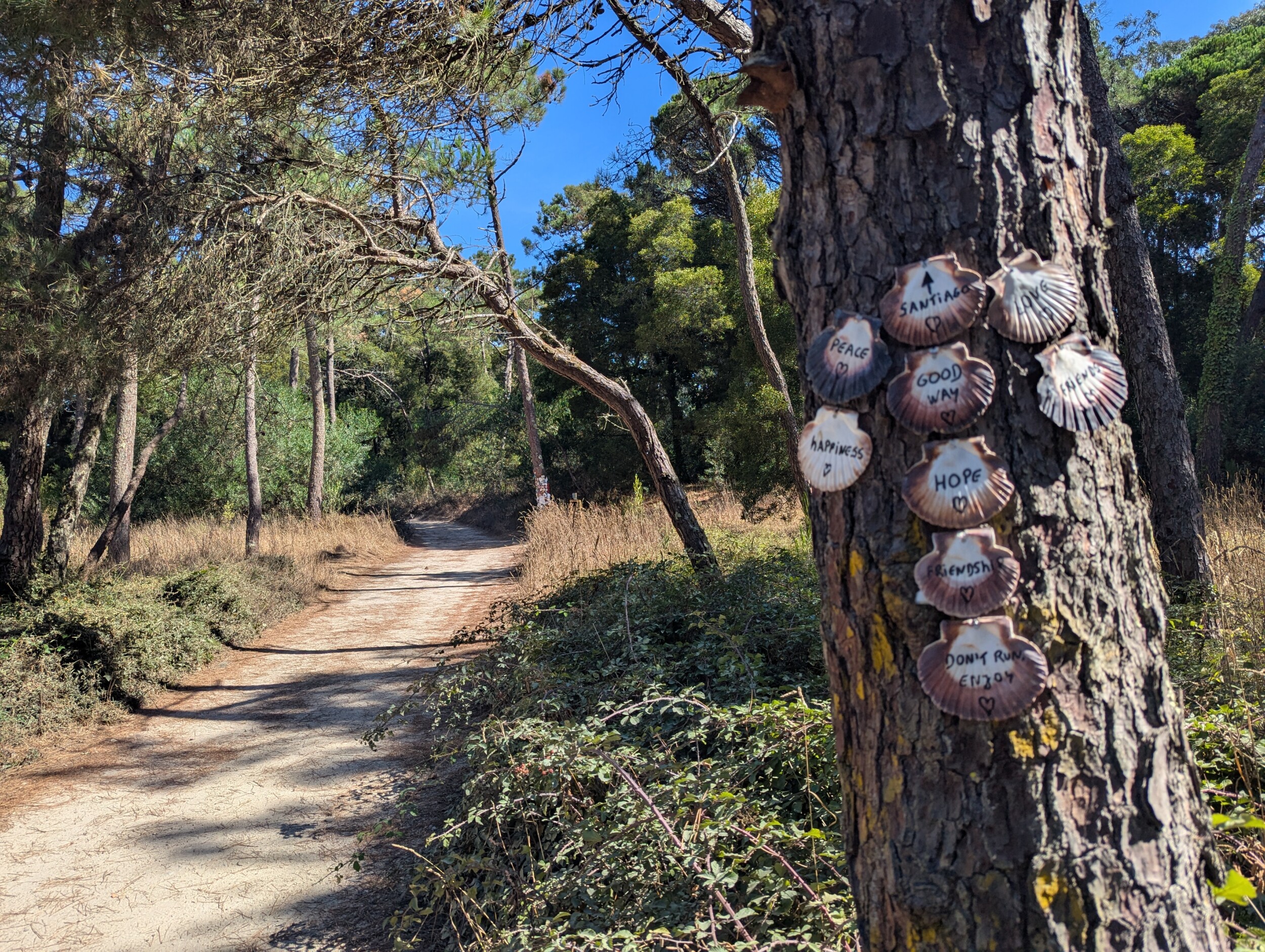 camino portugues - pelgrims