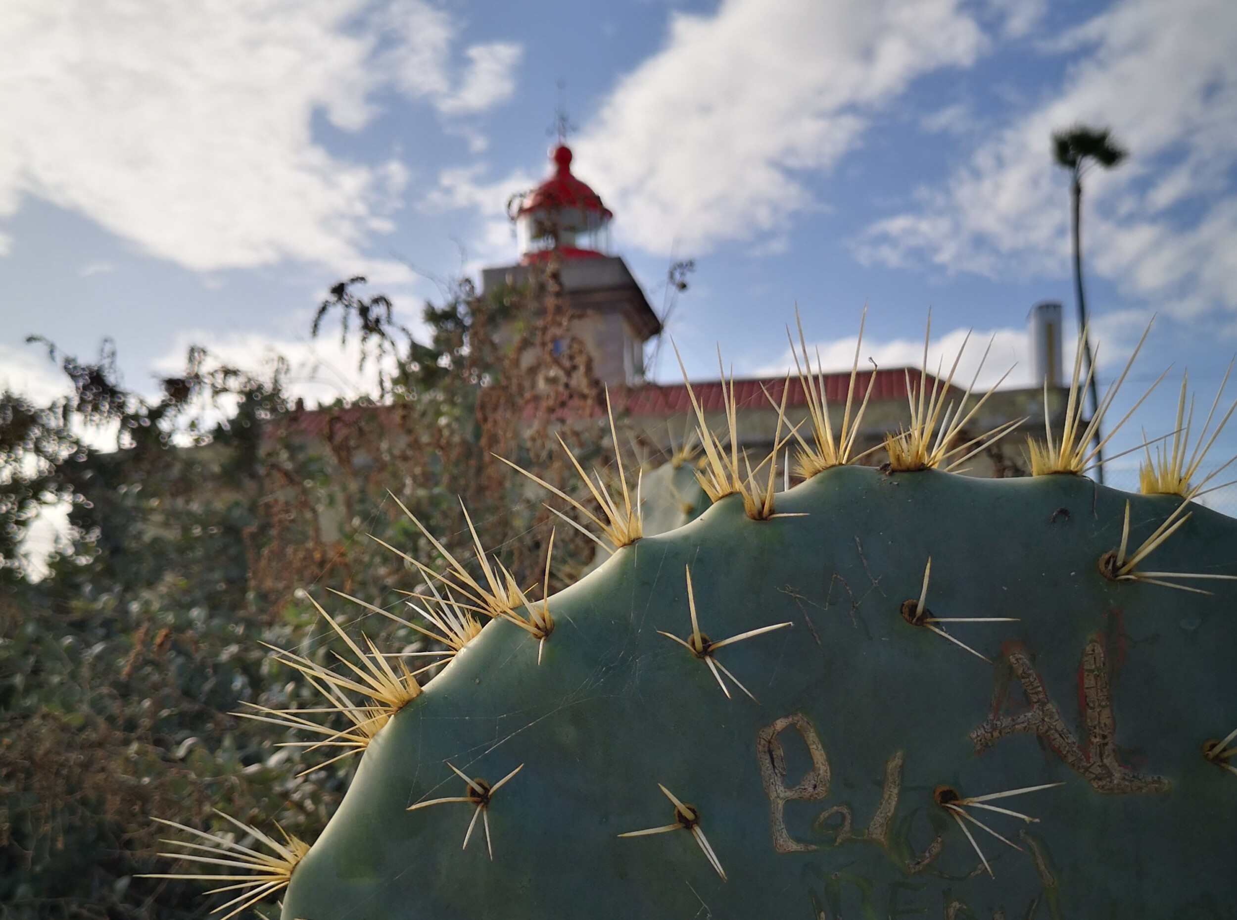 Vuurtoren Ponta da Piedade, Sagres- Portugal