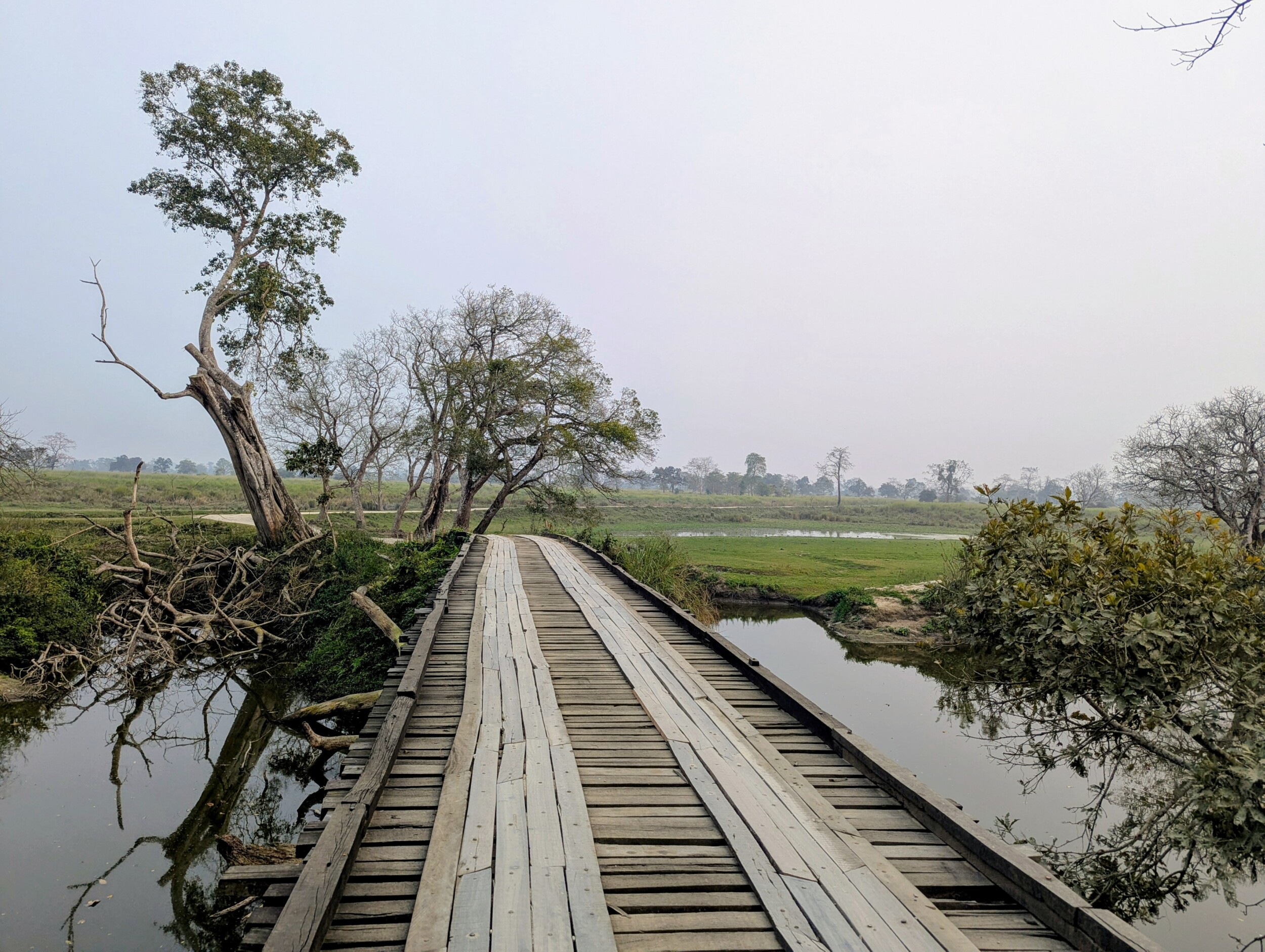 Kazirango National Park in Assma - India