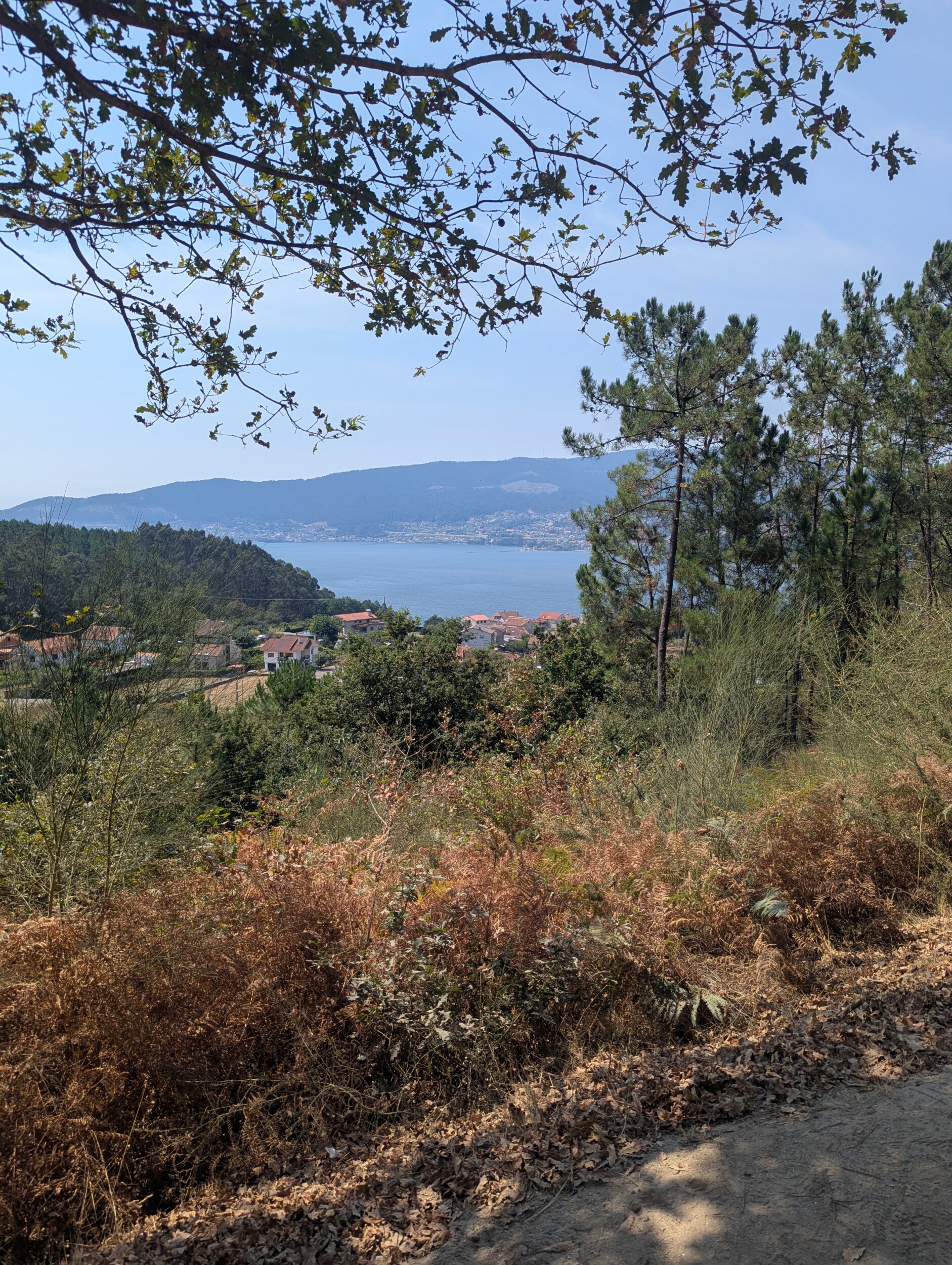 Het mooie uitzicht net voorbij Redondela op de camino portugues