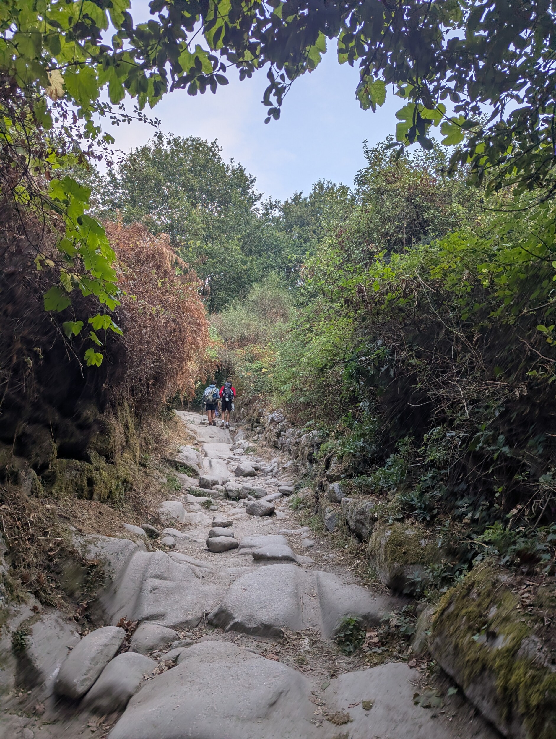 De Eeuwenoude weg naar Santiago de Compostela
