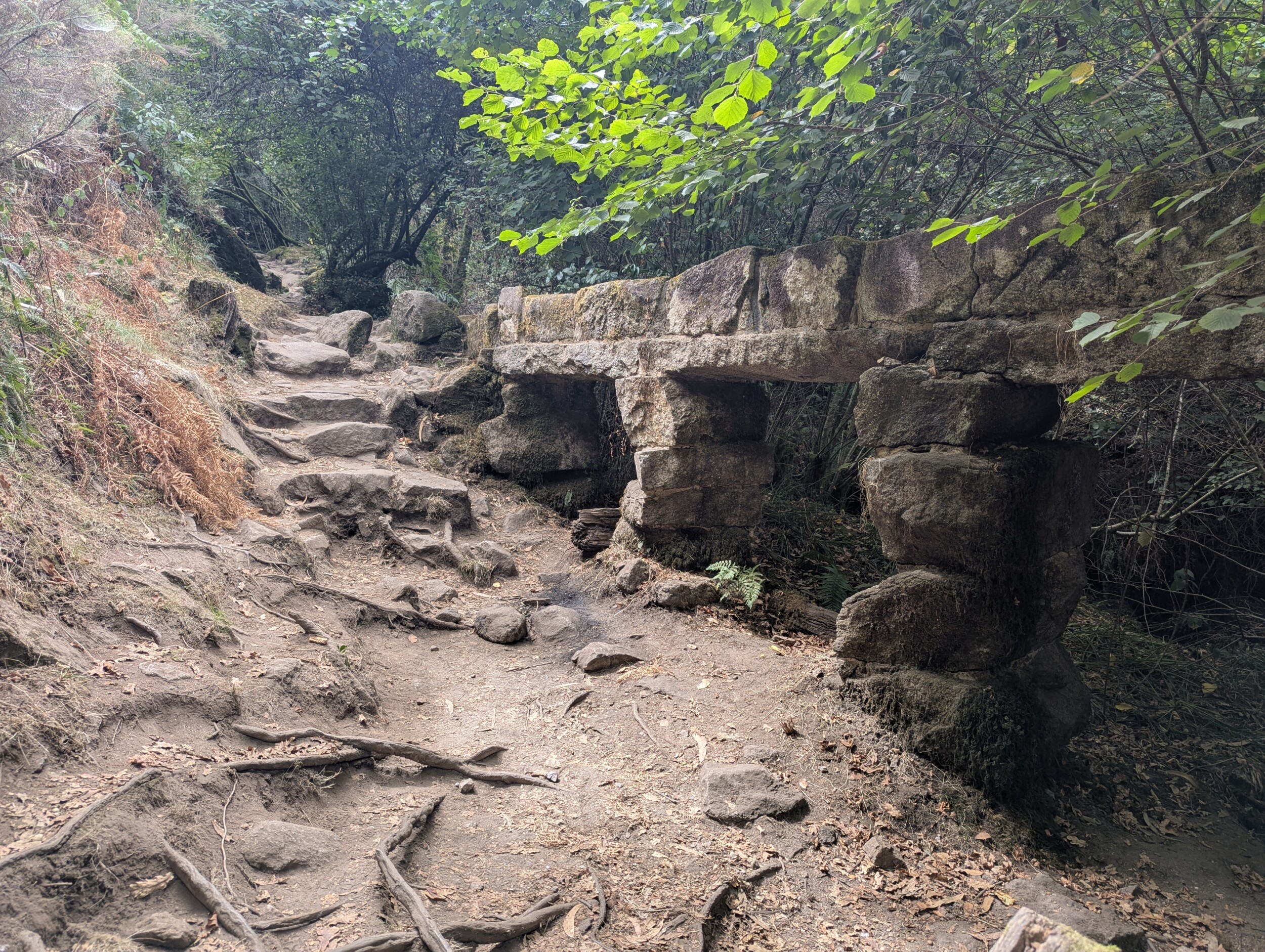 Zo'n historisch interessante plek dit bos - Variante Espiritual - Camino Português