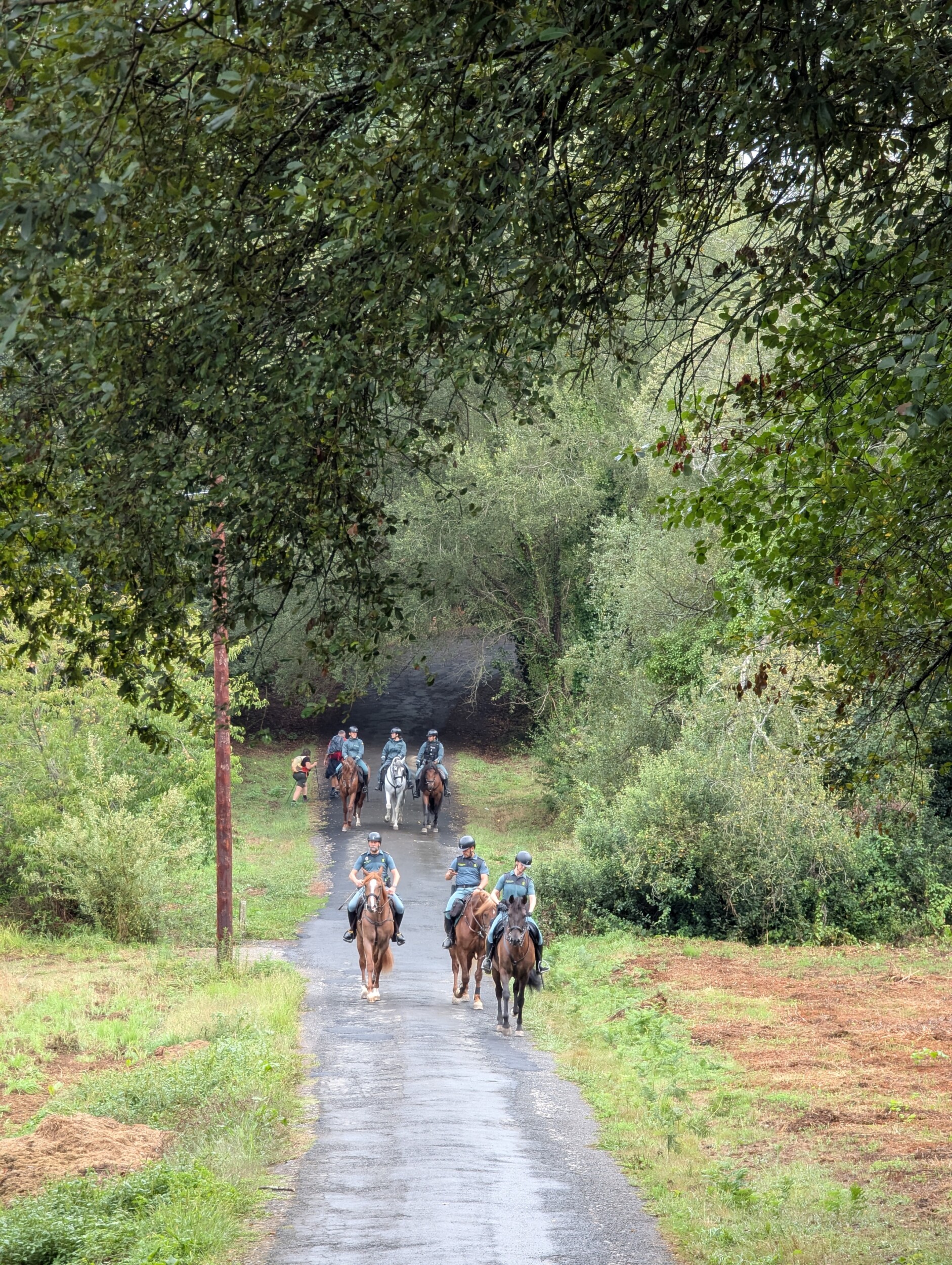 Mooie historische plaatjes langs de Camino Portugese