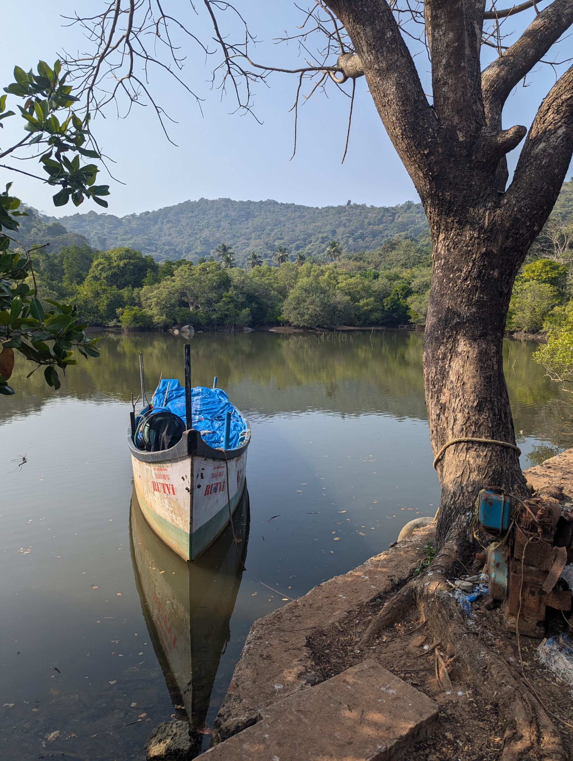 Wandelen nabij Palolem, Goa India