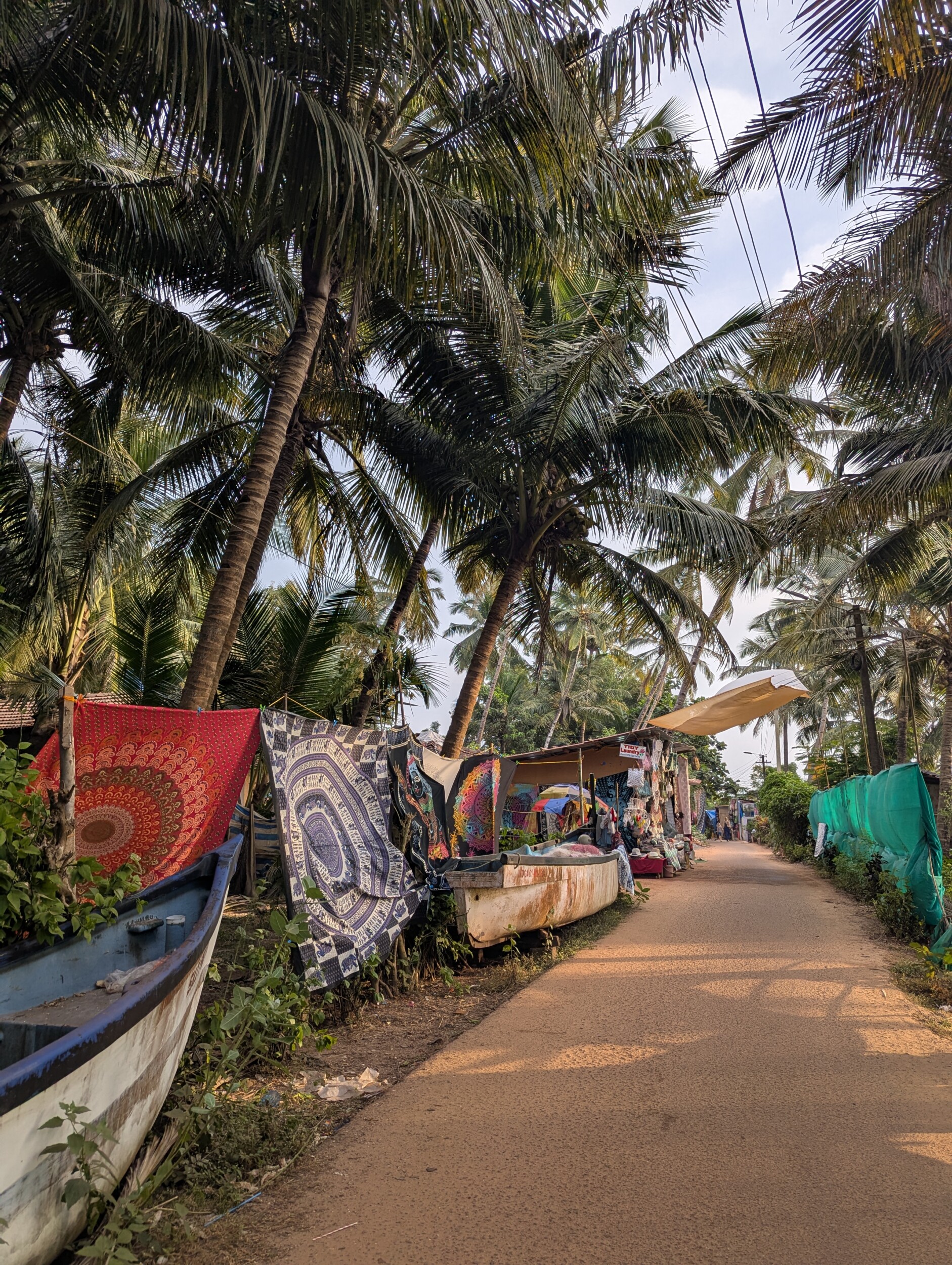 Wandel langs de stranden van Goa India