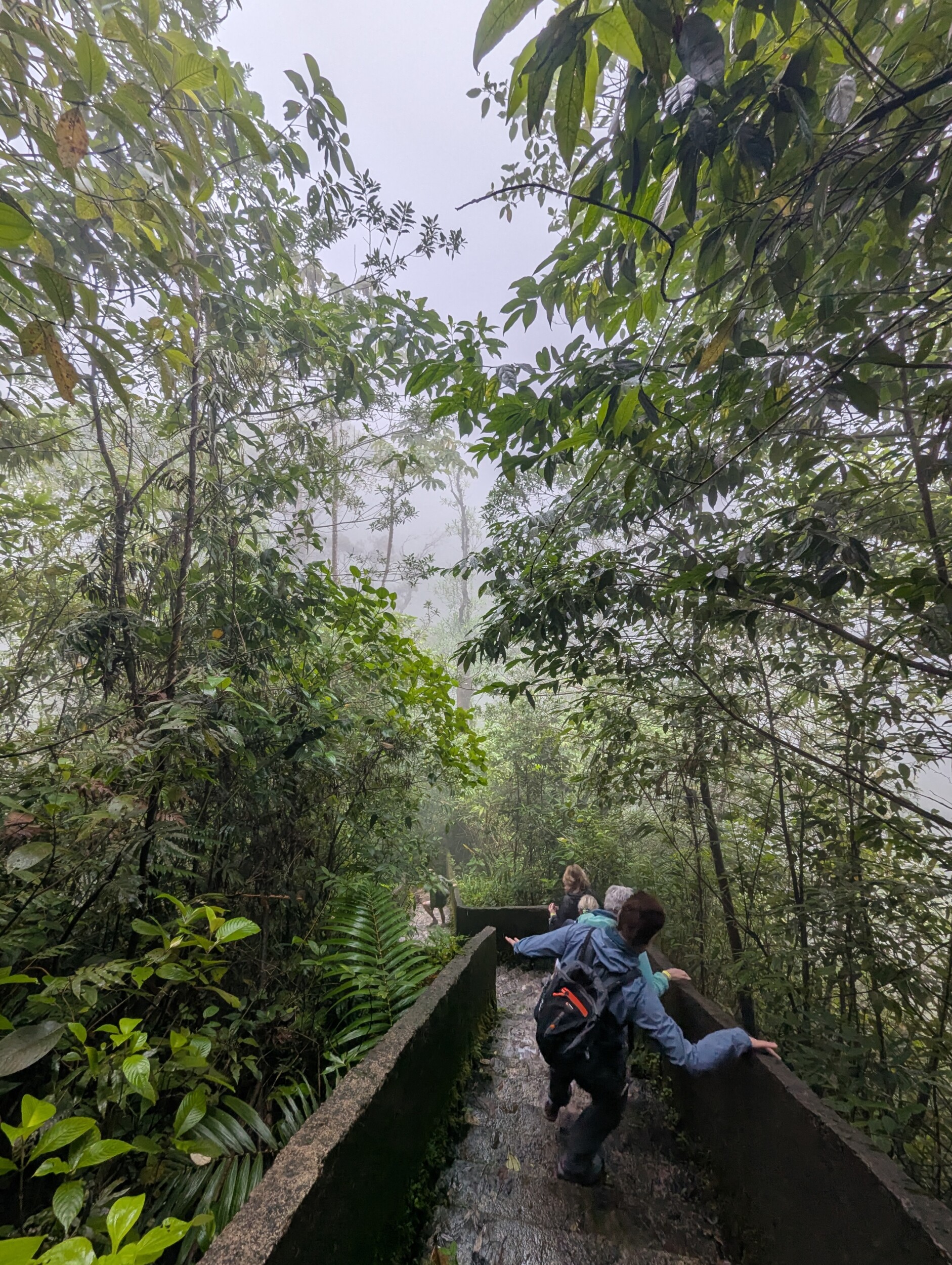 Catarata Del Toro waterval in Costa Rica