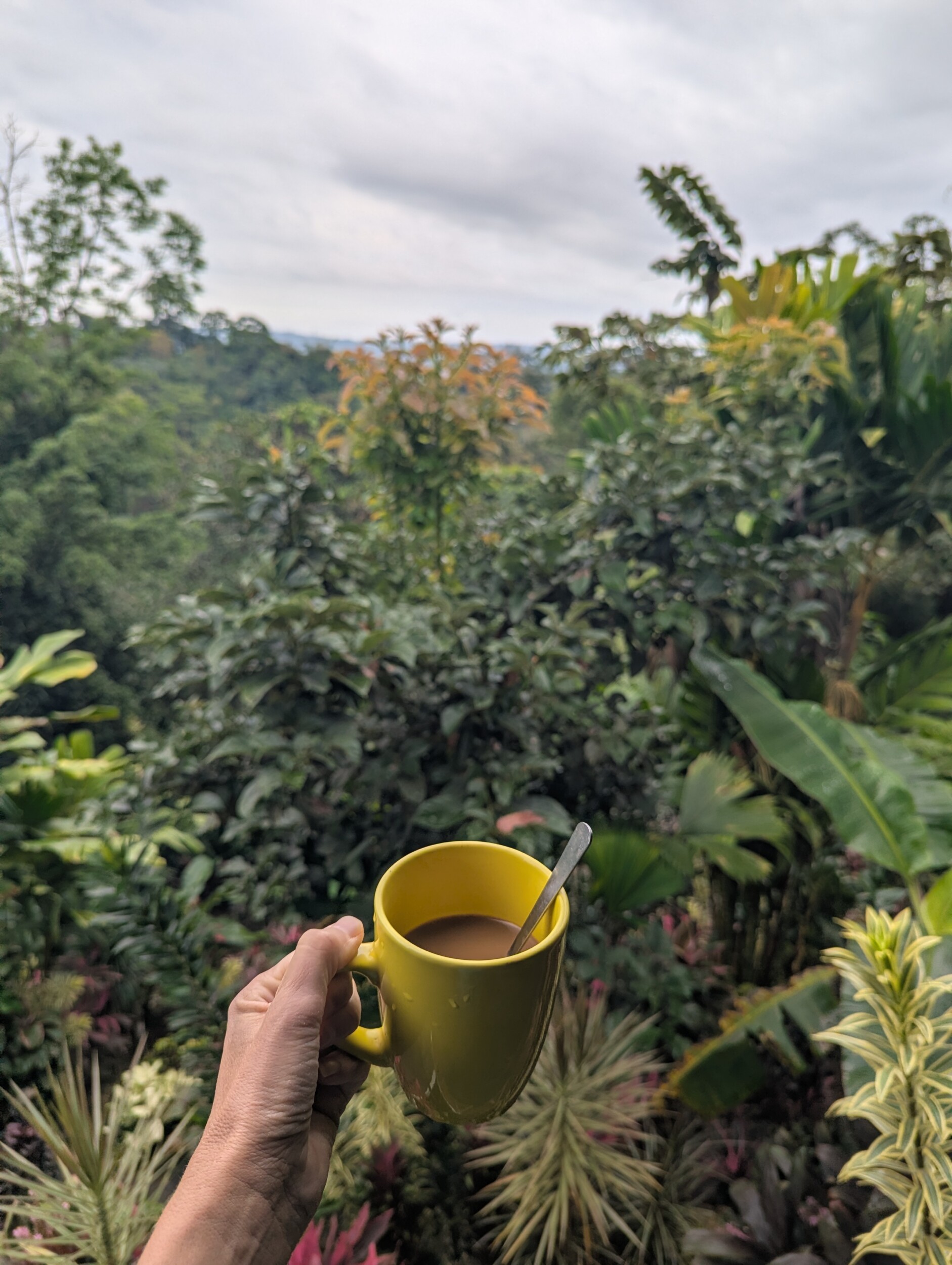 Ontbijt bij Princesa de la Luna Ecolodge