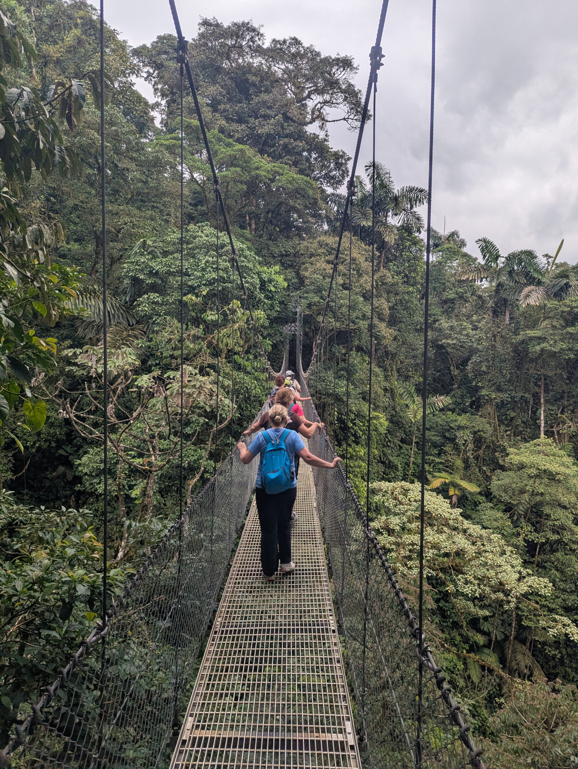 De hangbruggen van Mistico Park in Costa Rica