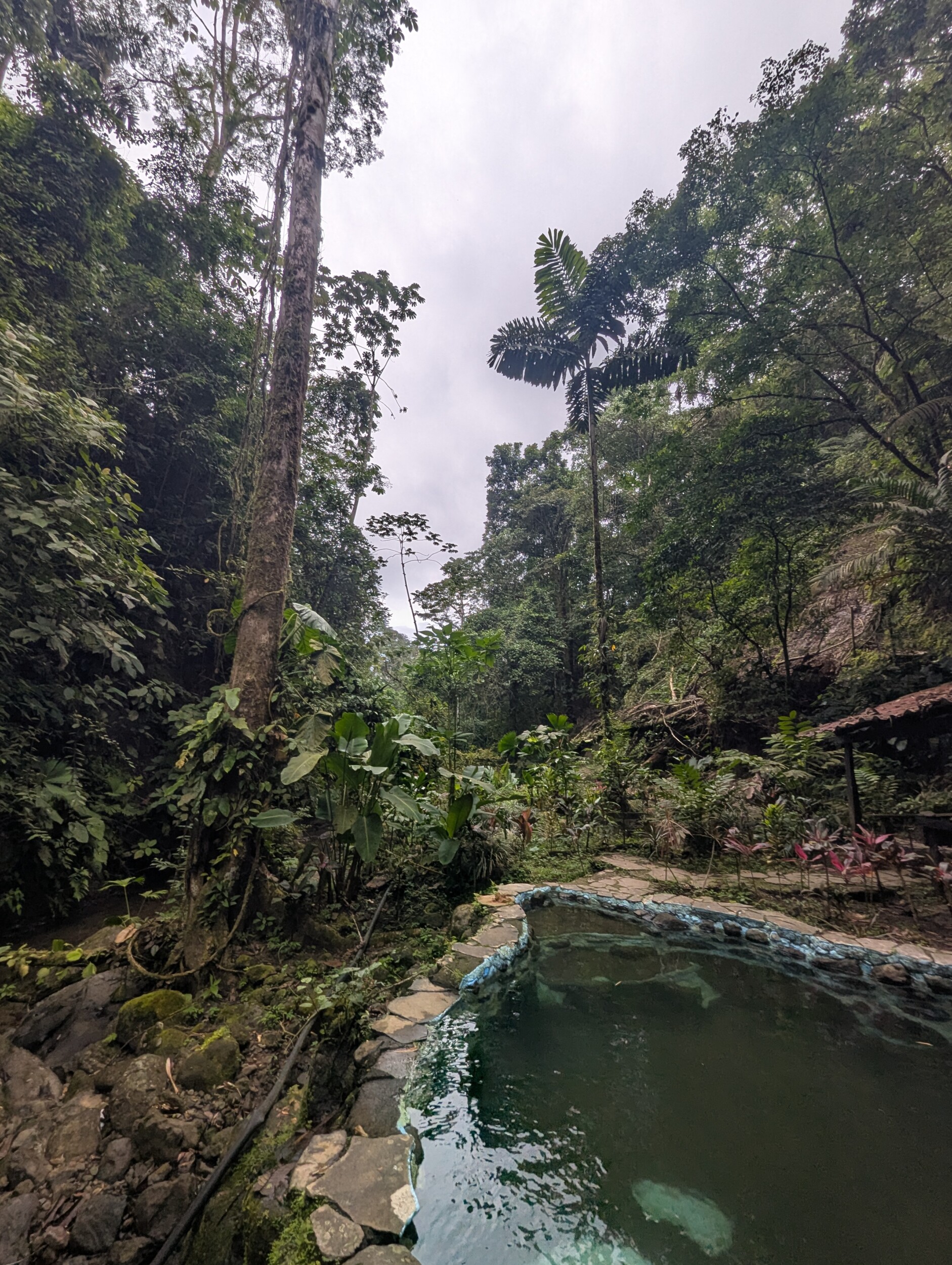 Het zwembad in de tuin bij Princesa de la Luna Ecolodge