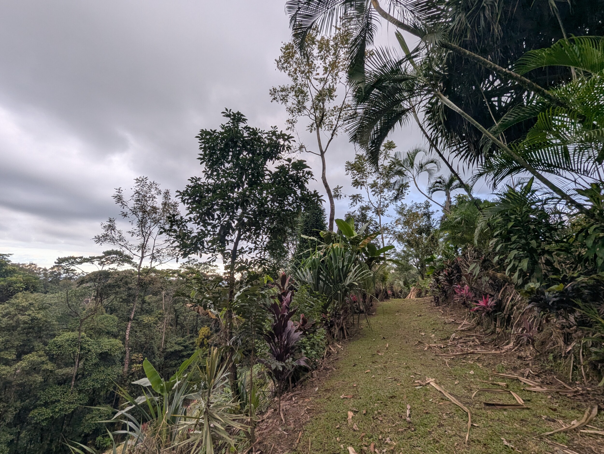 Toucan Trail van Princesa de la Luna Ecologde - La Fortuna, Costa Rica