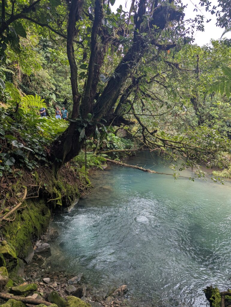 Links in beeld het bubbelende water - spring in Rio Celeste / Tenorio Volcano National Park
