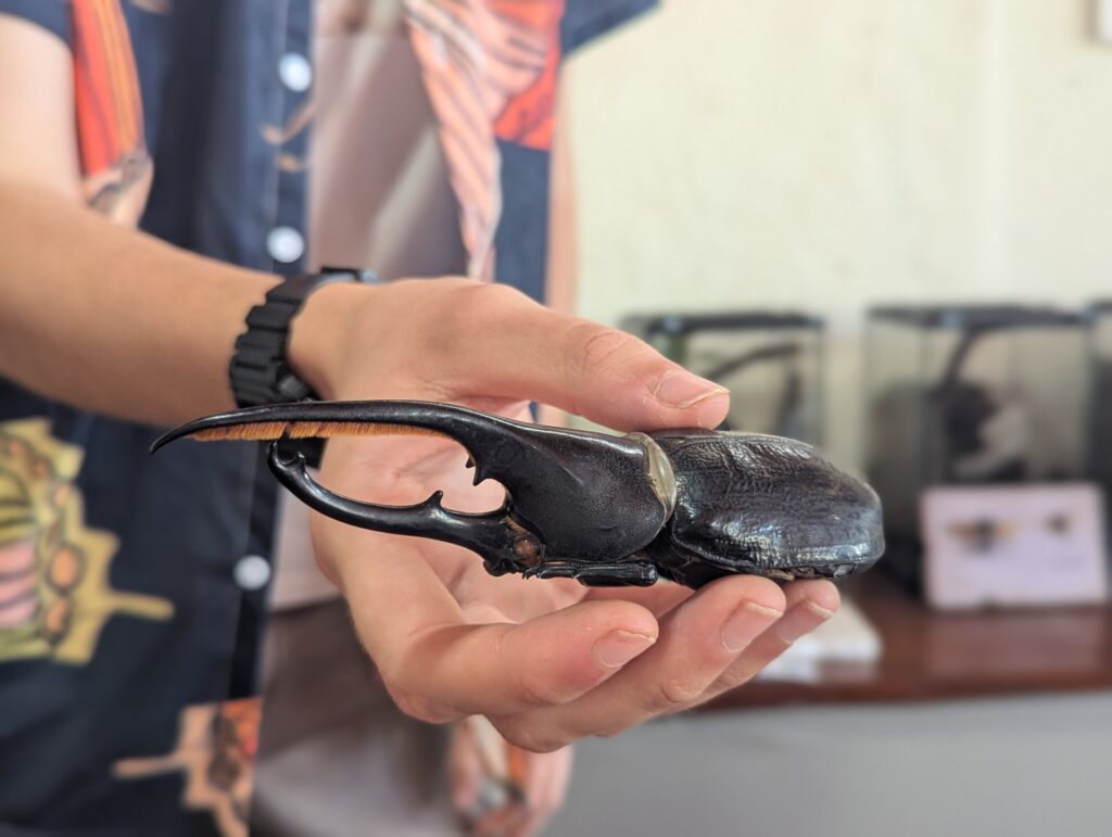 Bezoek het Monteverde Butterfly Gardens - Costa Rica