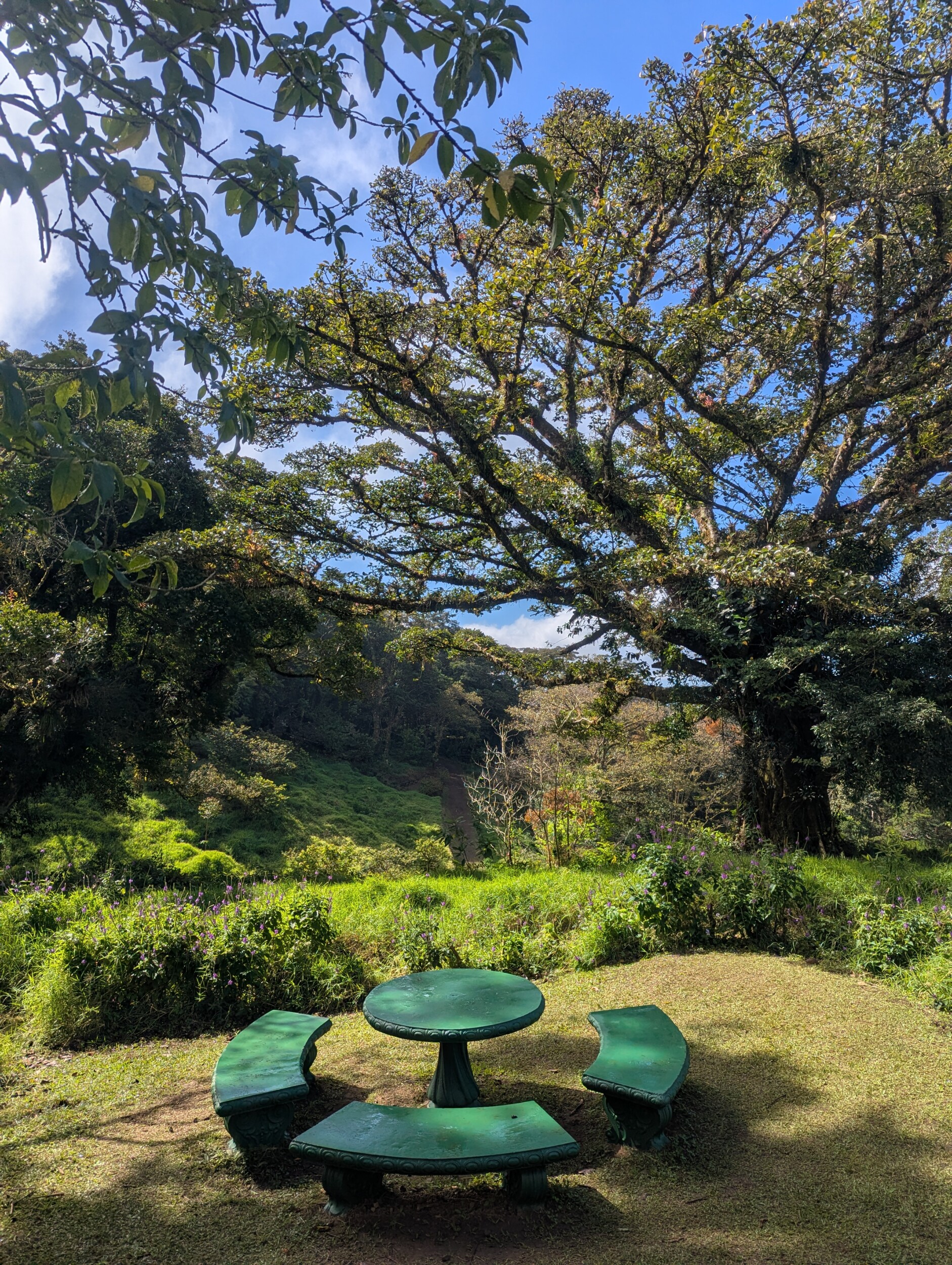 Wandeling in Curi-Chanca reserve Costa Rica