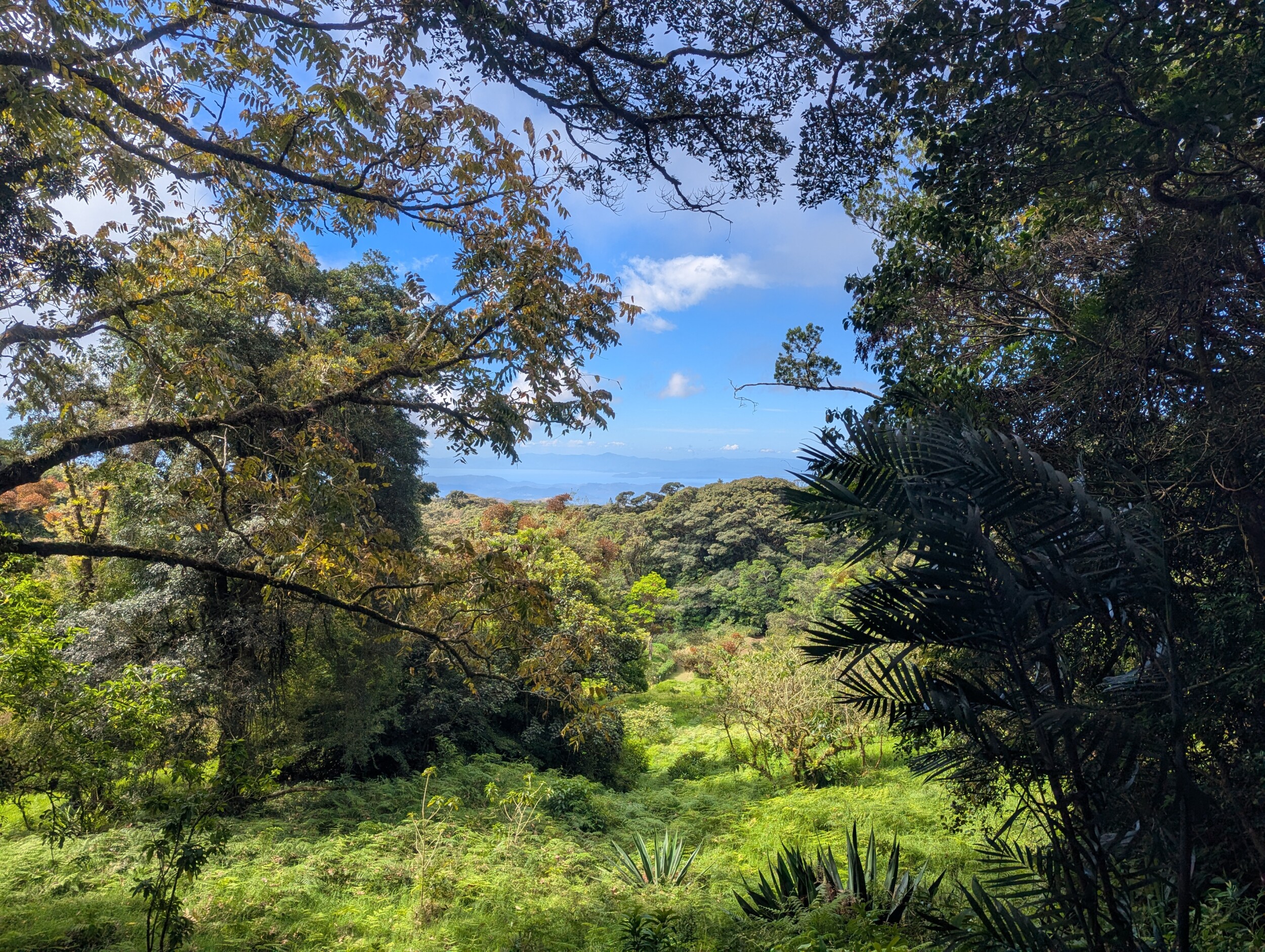 Uitzicht Curi-Chanca reserve Costa Rica