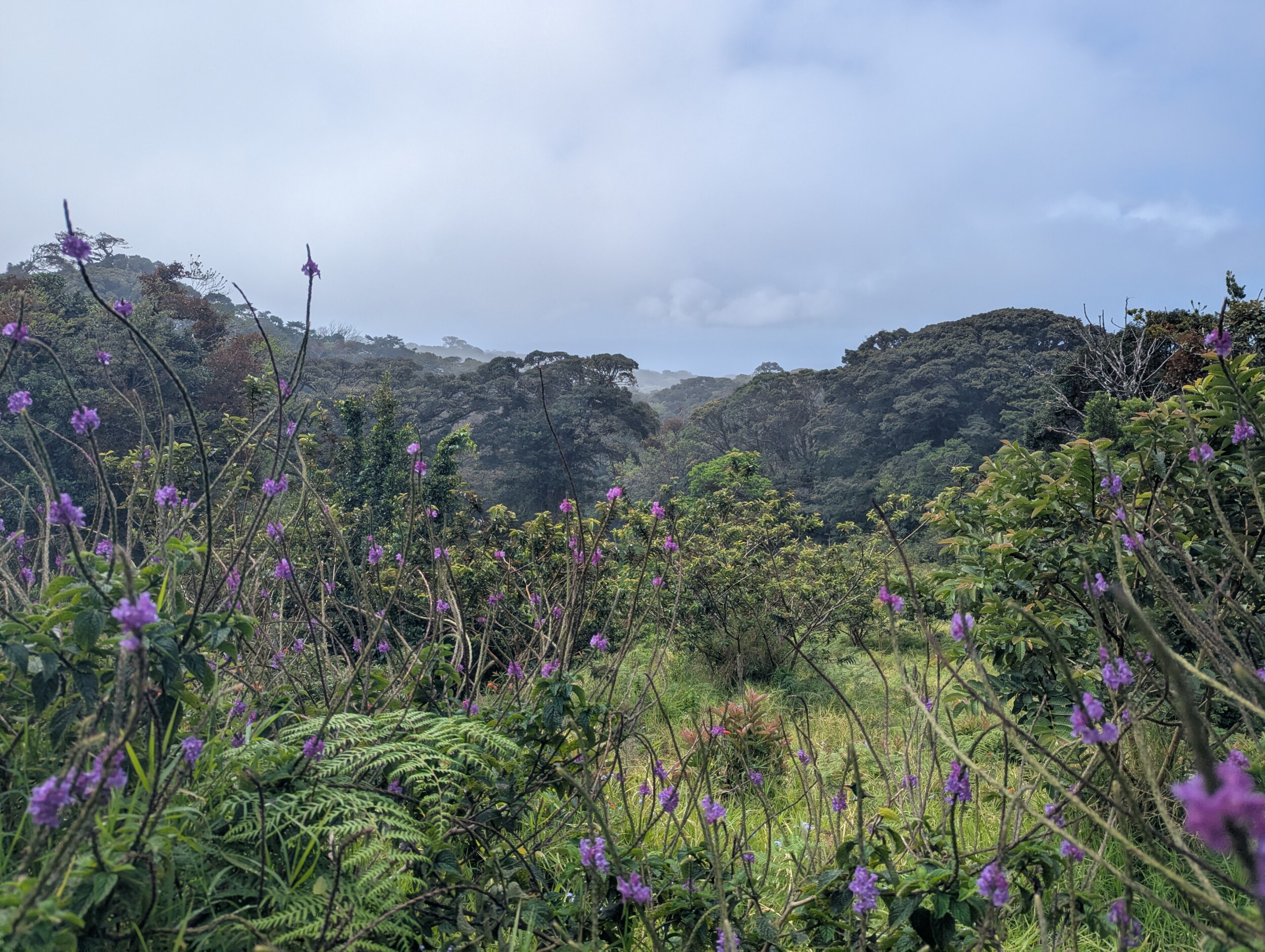 Uitzicht Curi-Chanca reserve Costa Rica