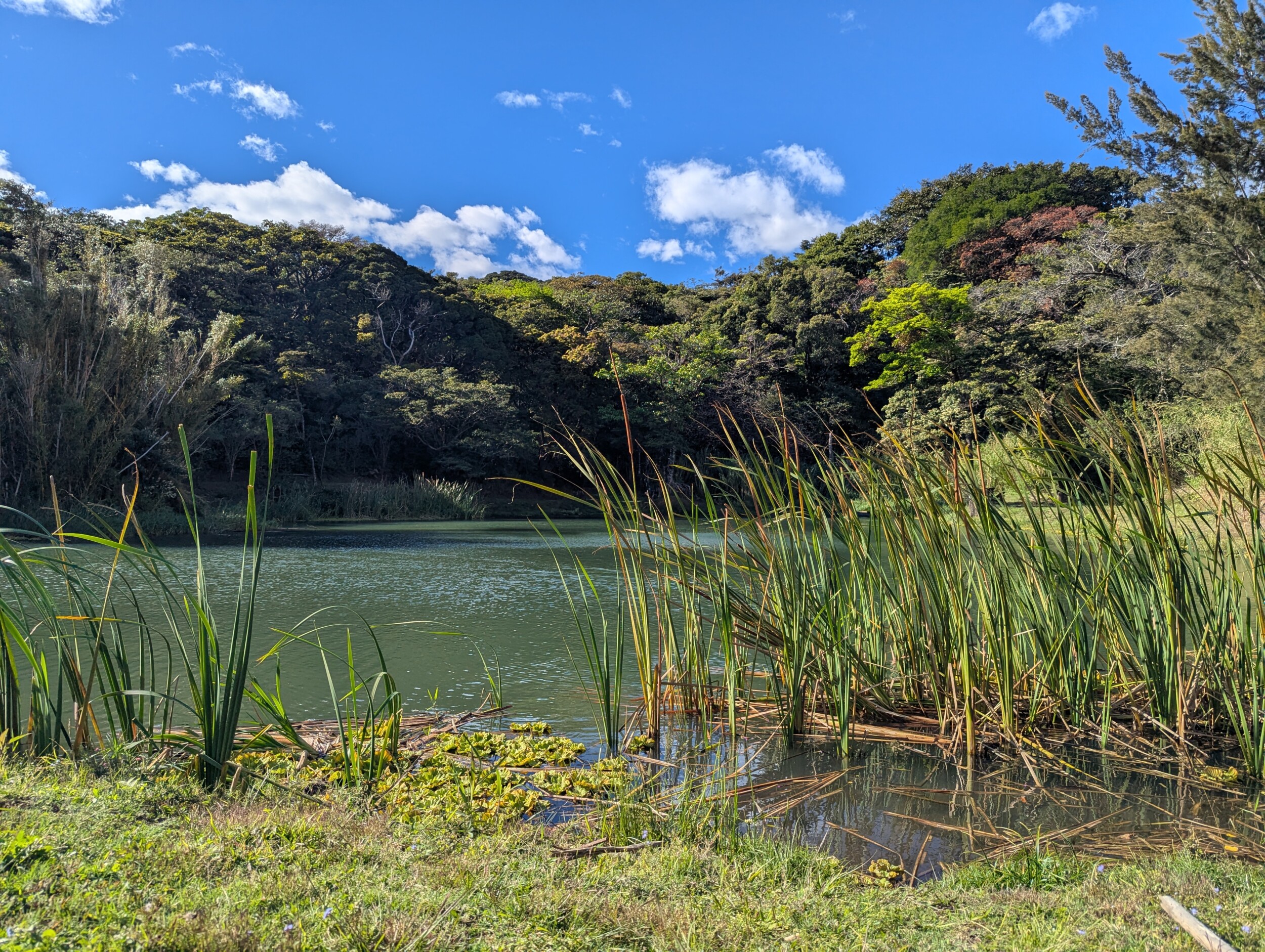 Laguna Montana tijdens wandeling nabij Hotel Montana