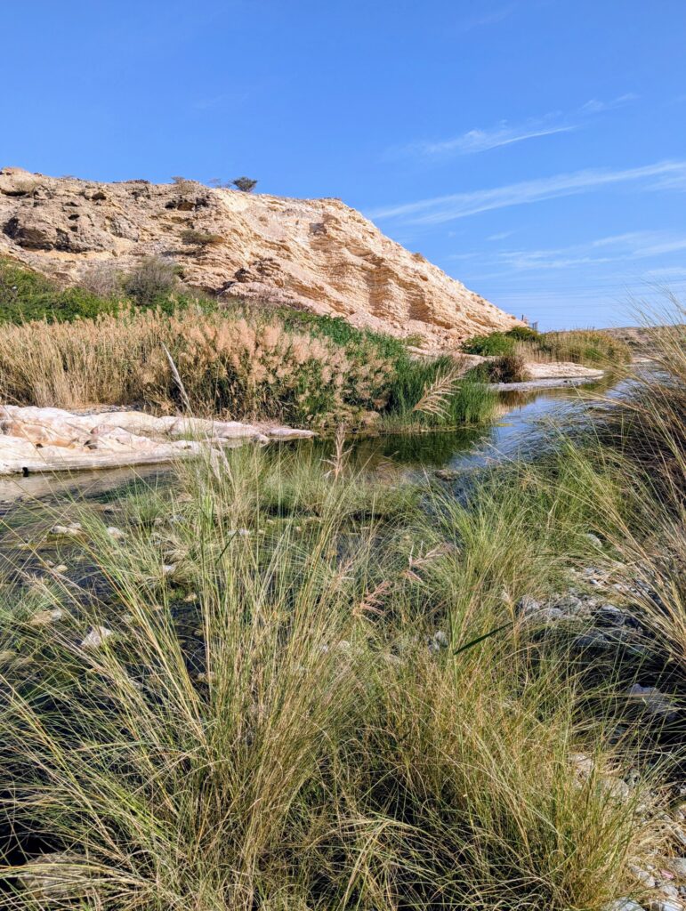 Wadi Khoud Muscat - Oman