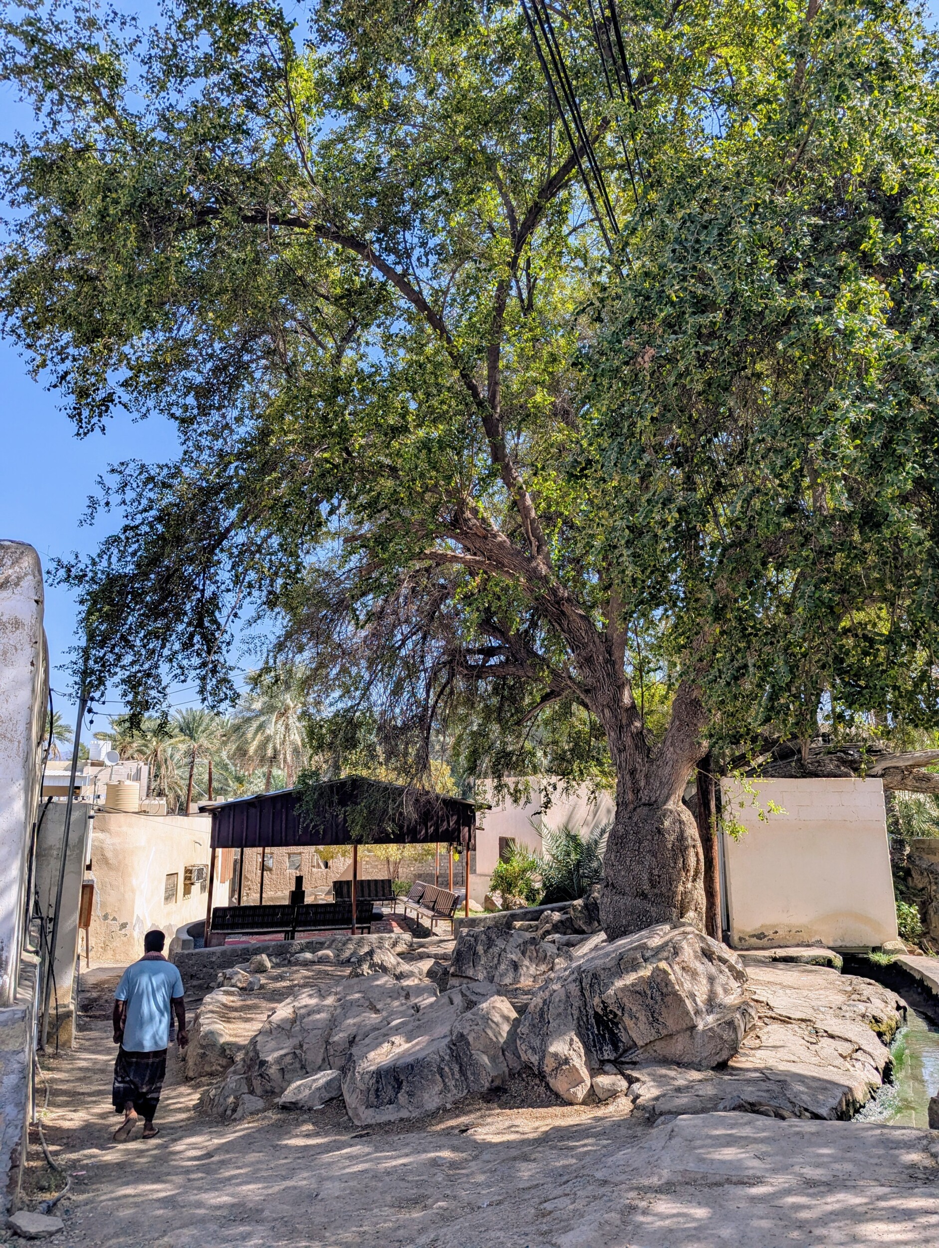 Binnenplaats in oud Rustaq - Ain Al Kasfa warmwaterbron Rustaq