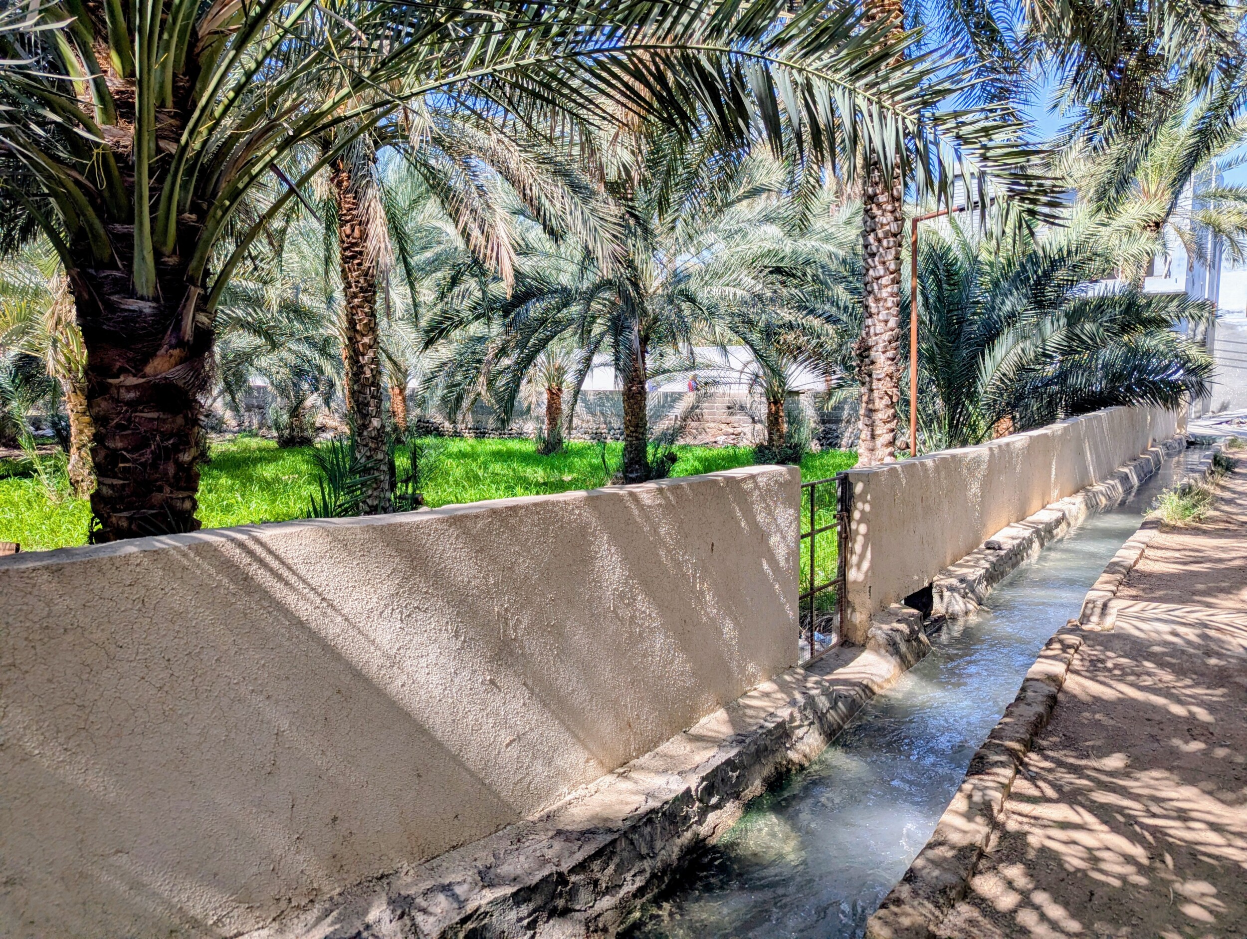 De Falaj door Rustaq - Palmoase Oman - Ain Al Kasfa warmwaterbron Rustaq