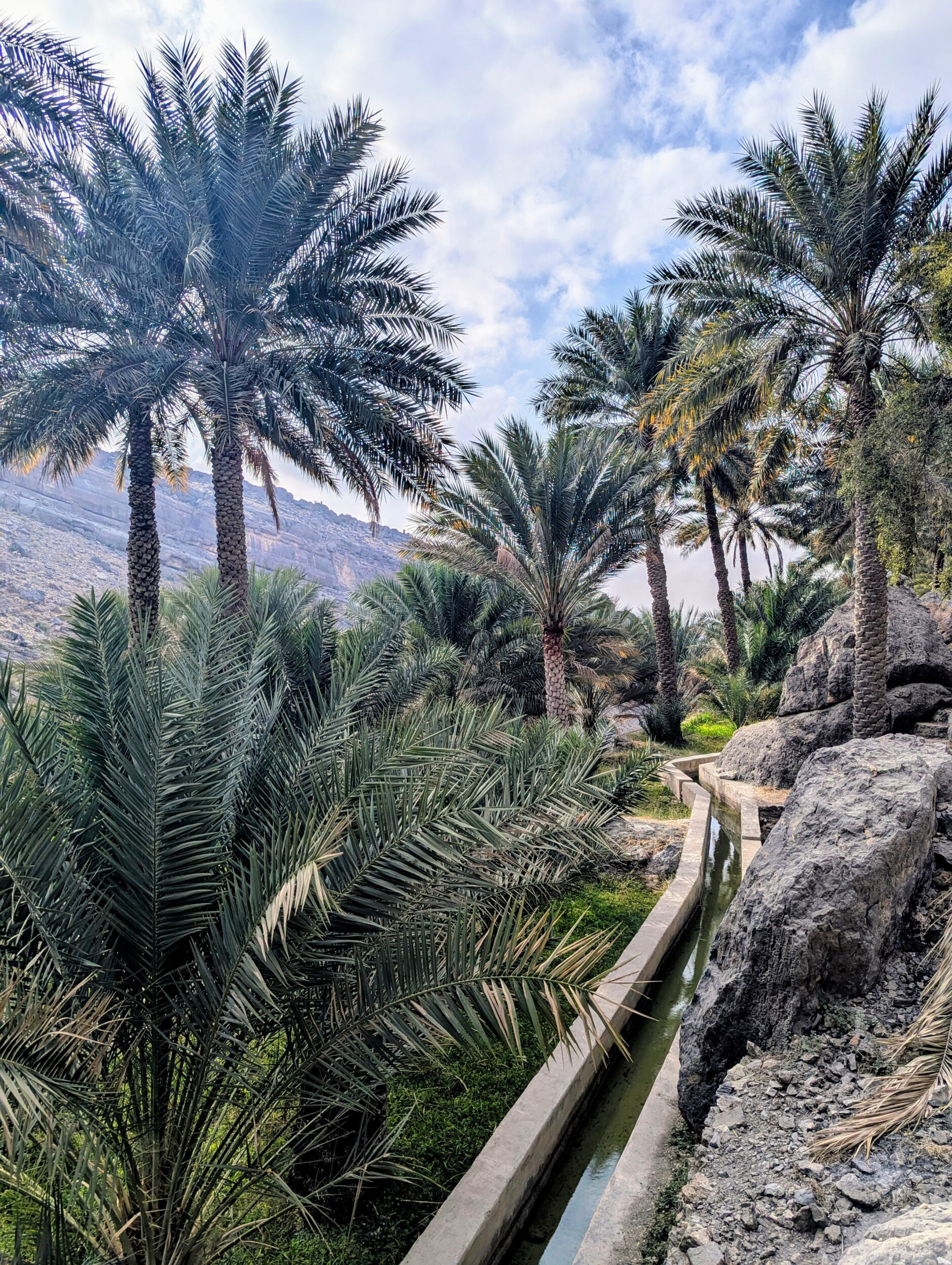 Een van de vele Falaj in Misfat Al Abriyeen