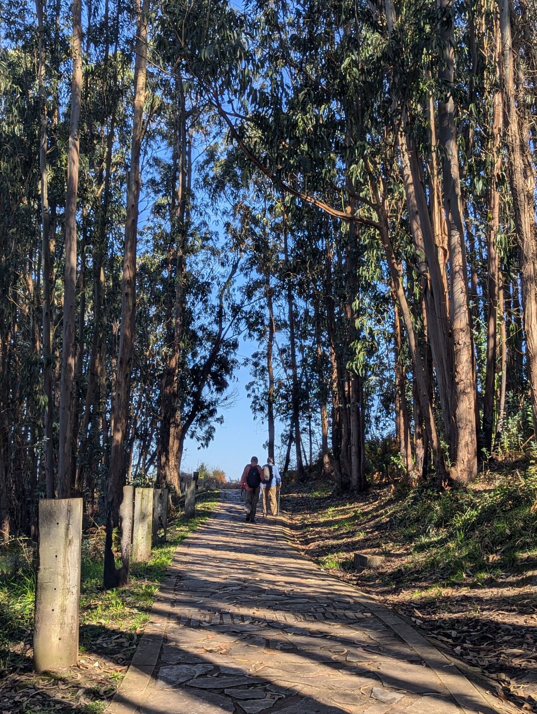 Wandelen langs de kust nabij Gijon - Costa Verde