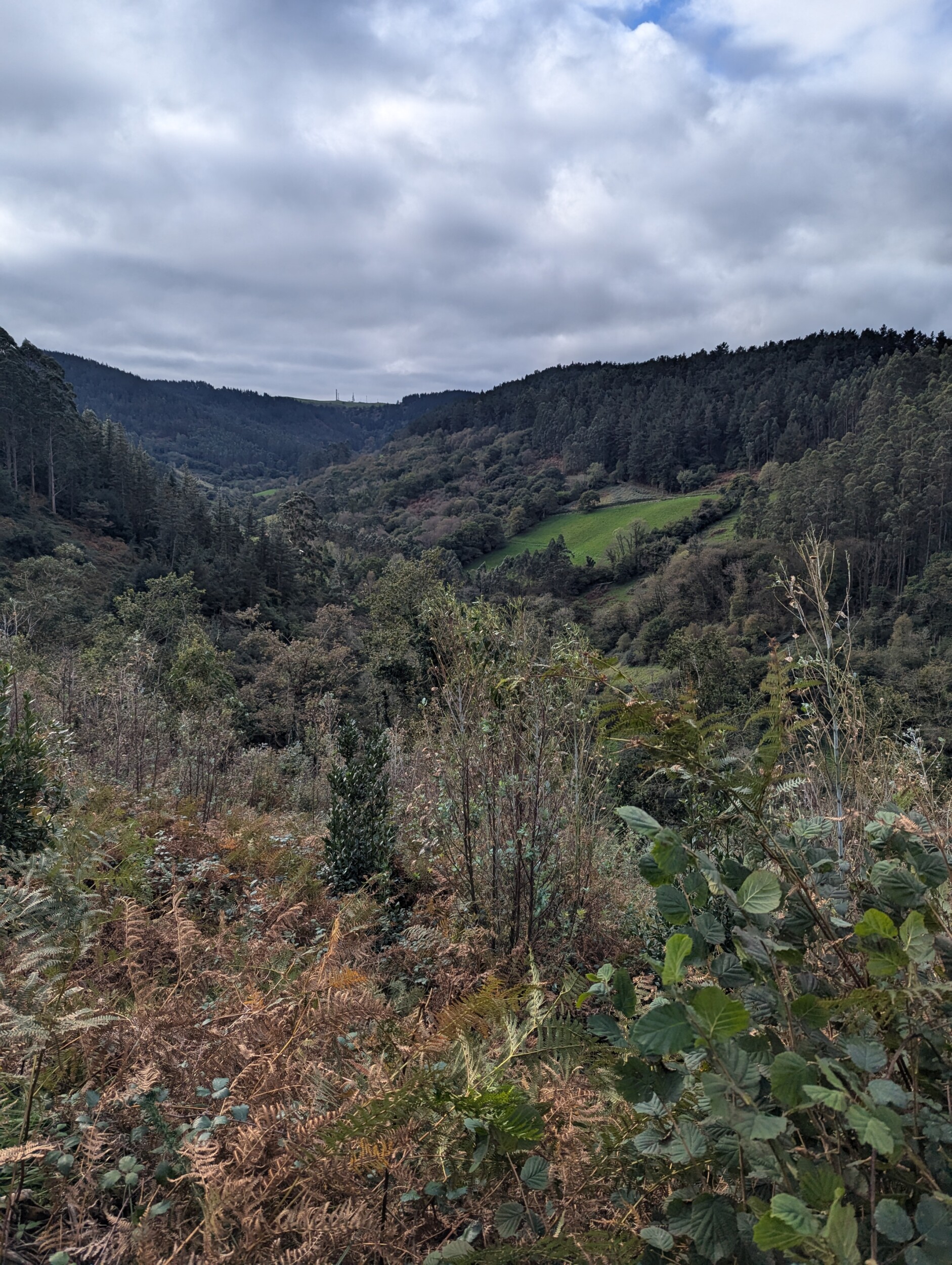 Wandelen in Asturië: de mooiste routes rondom Gijón (meer dan Picos de Europa)