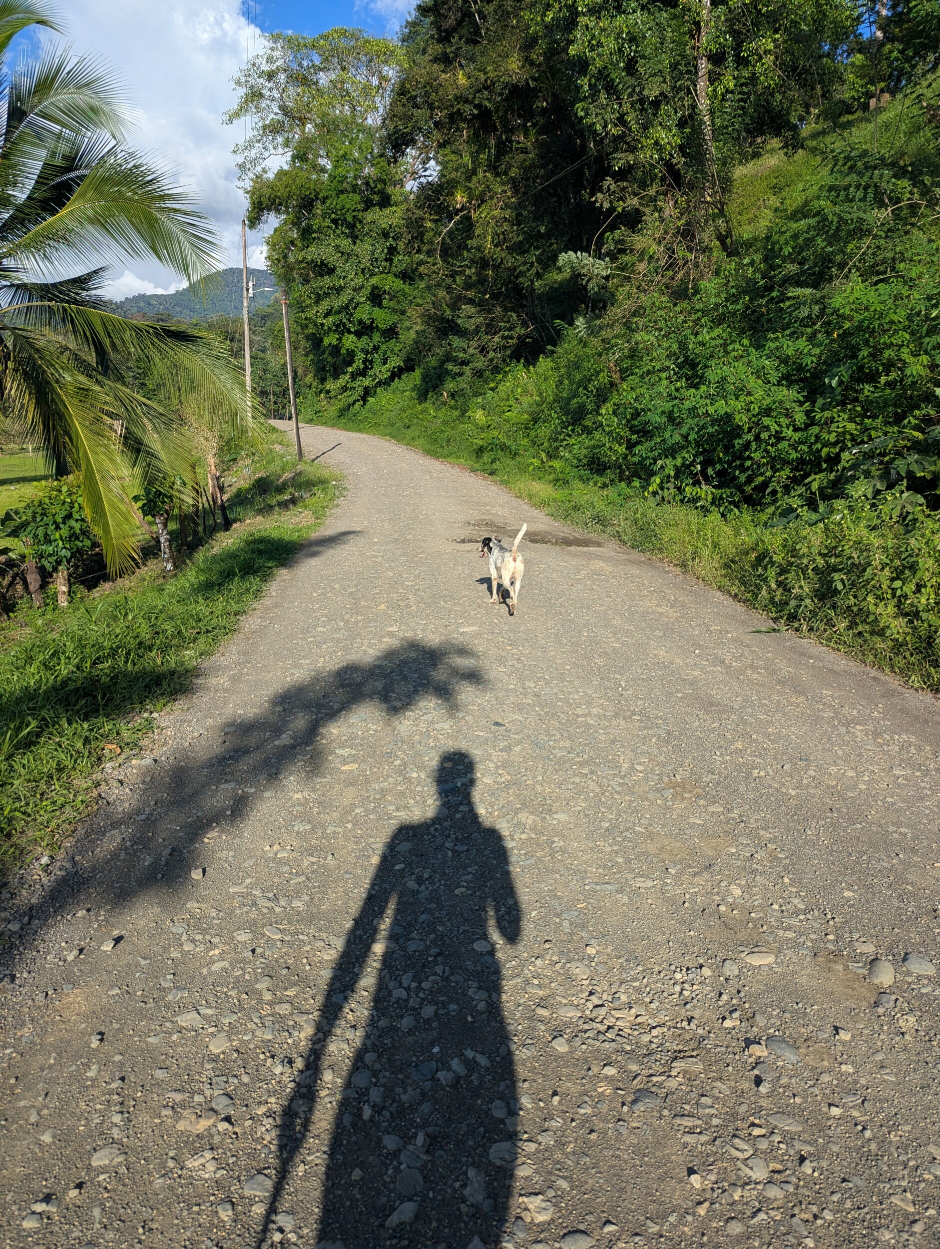 Wandelen bij La Comarca in de omgeving - Costa Rica