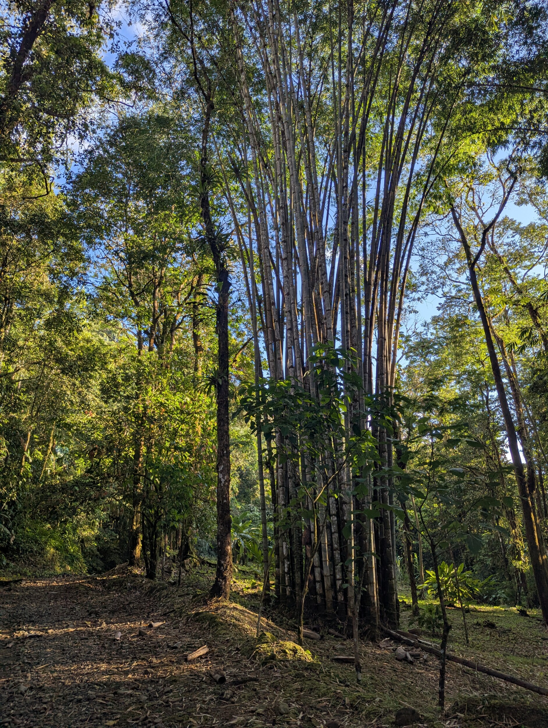 Wandelen bij La Comarca in de omgeving - Costa Rica