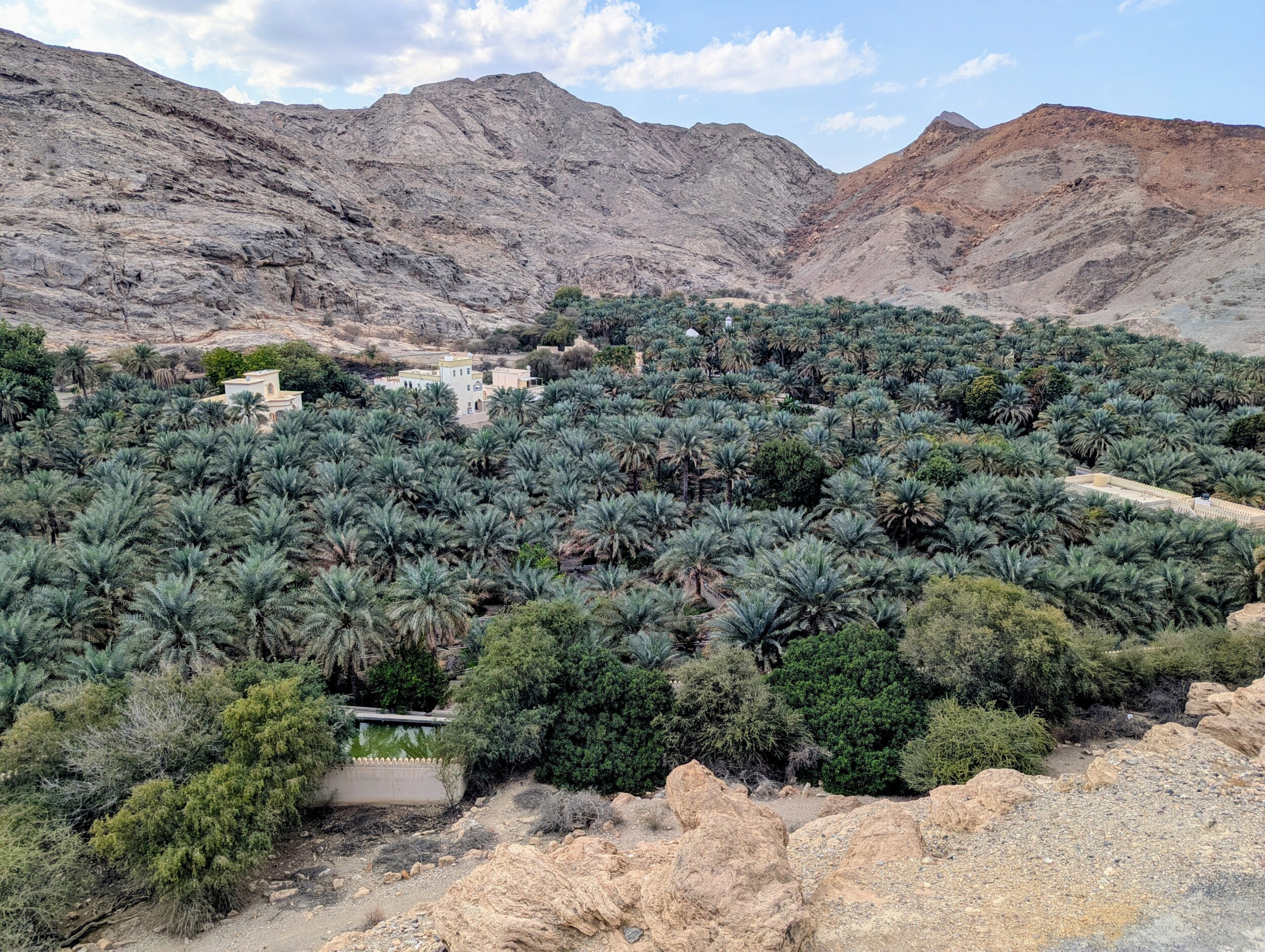 Palm oase nabij Fanja Fort