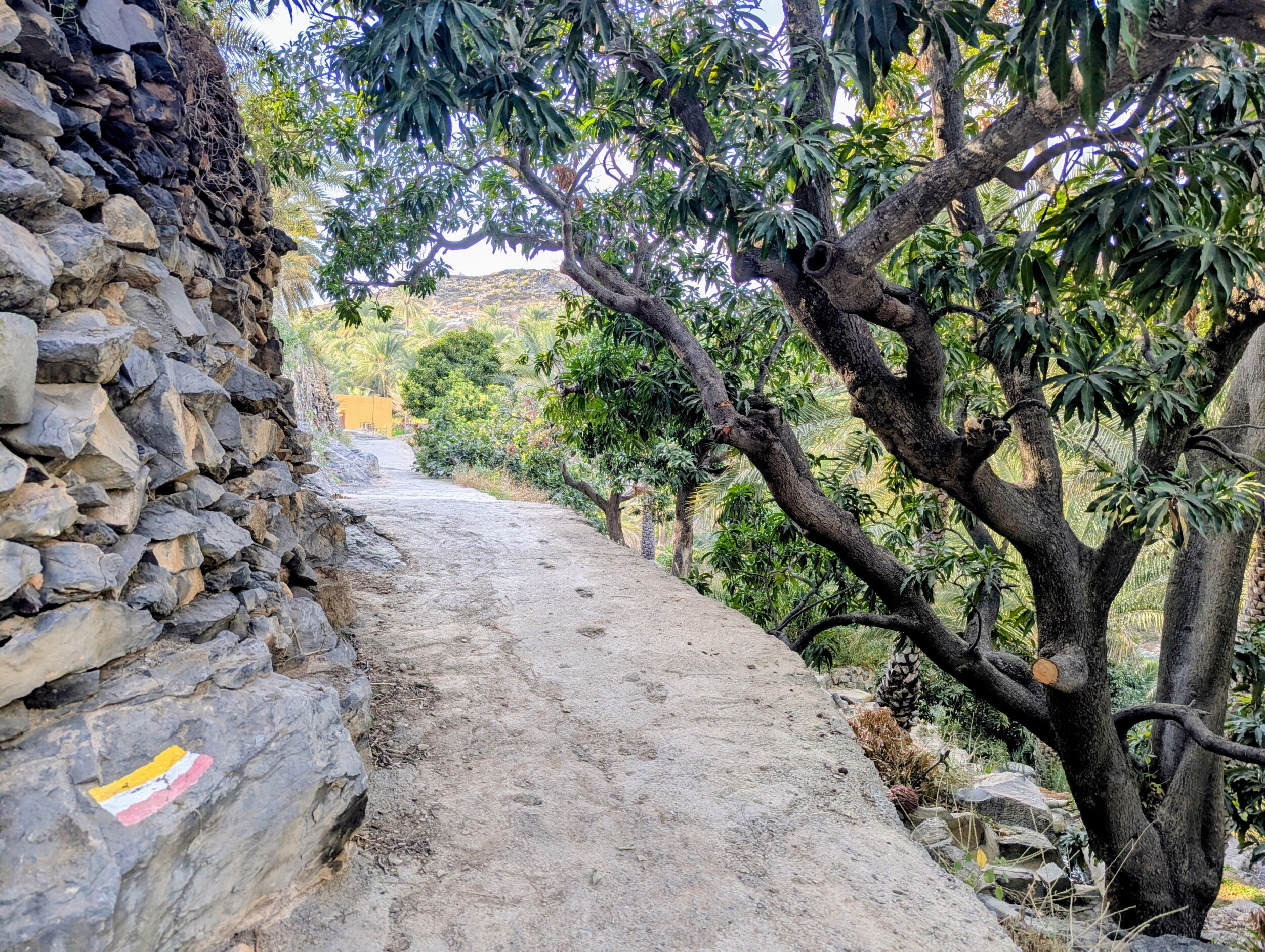 Wandelen bij Misfat Al Abriyeen - Oman