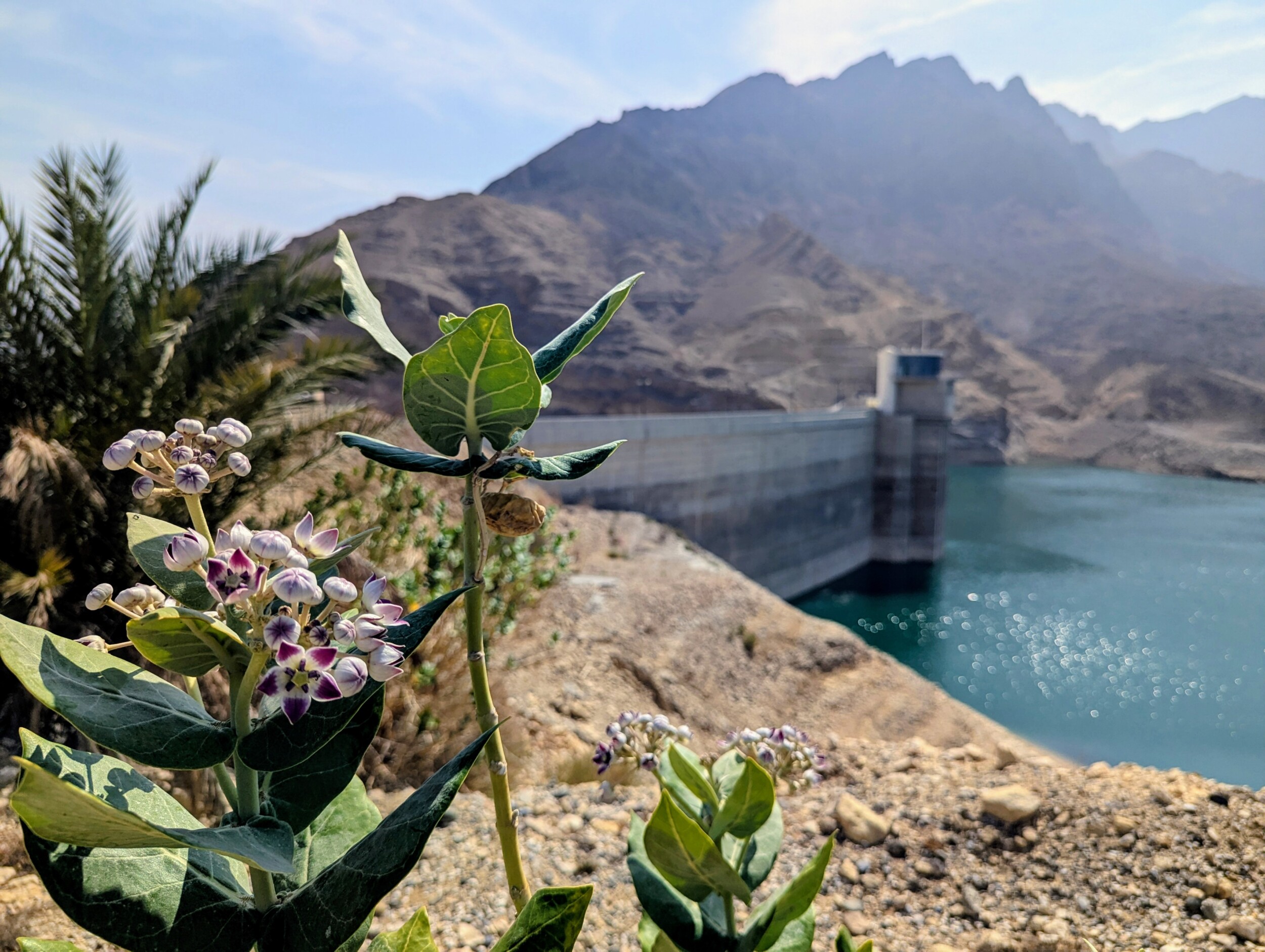 Zicht op de dam - Wadi Dayqah Dam Oman