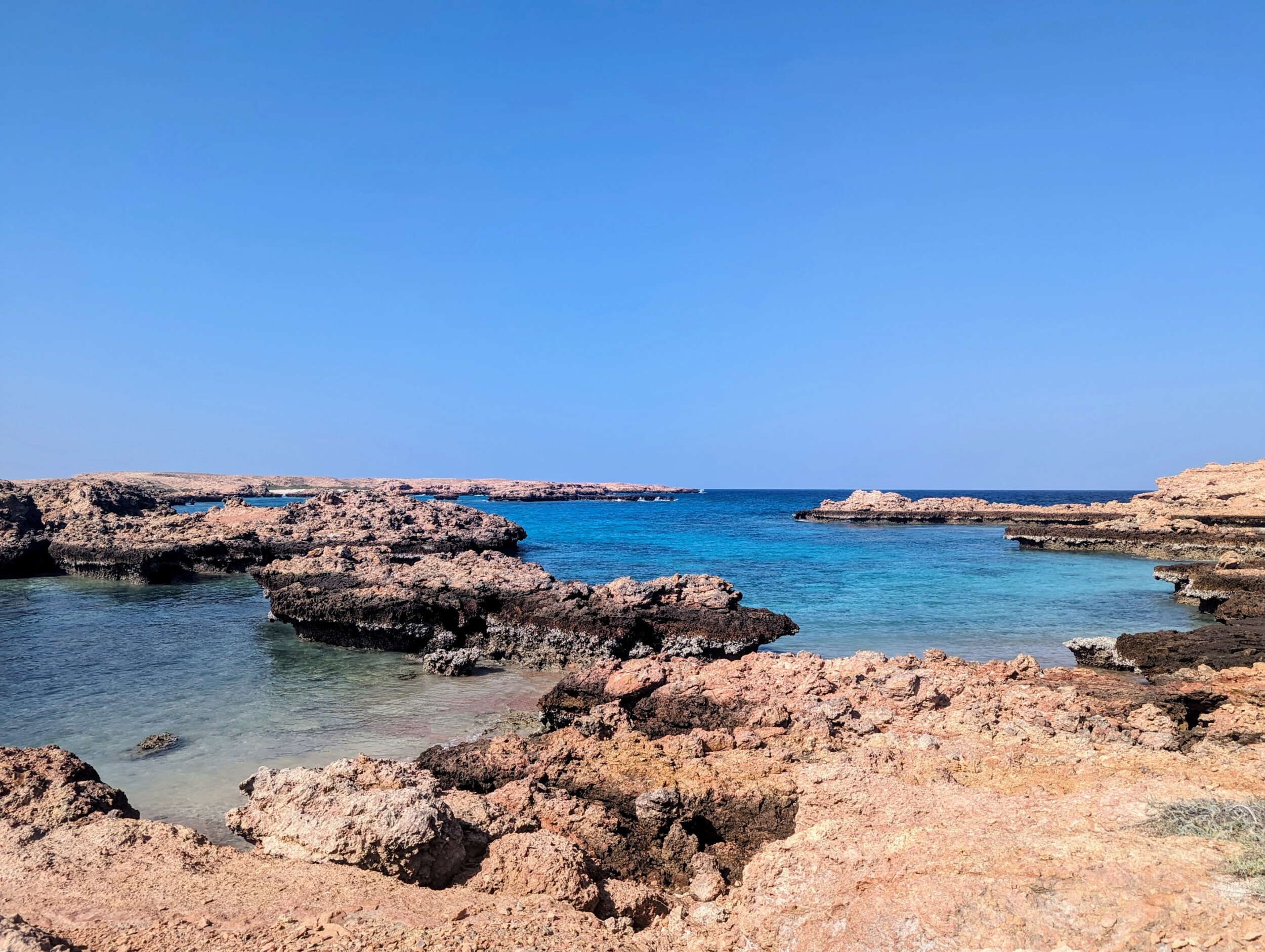 Zeeschildpadden spotten Oman bij de Damaniyat Islands
