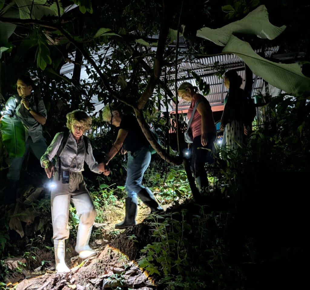 Drake Bay en Corcovado National Park: Snorkelen, Wandelen en Kikkers Spotten in Costa Rica's Wildste Hoek