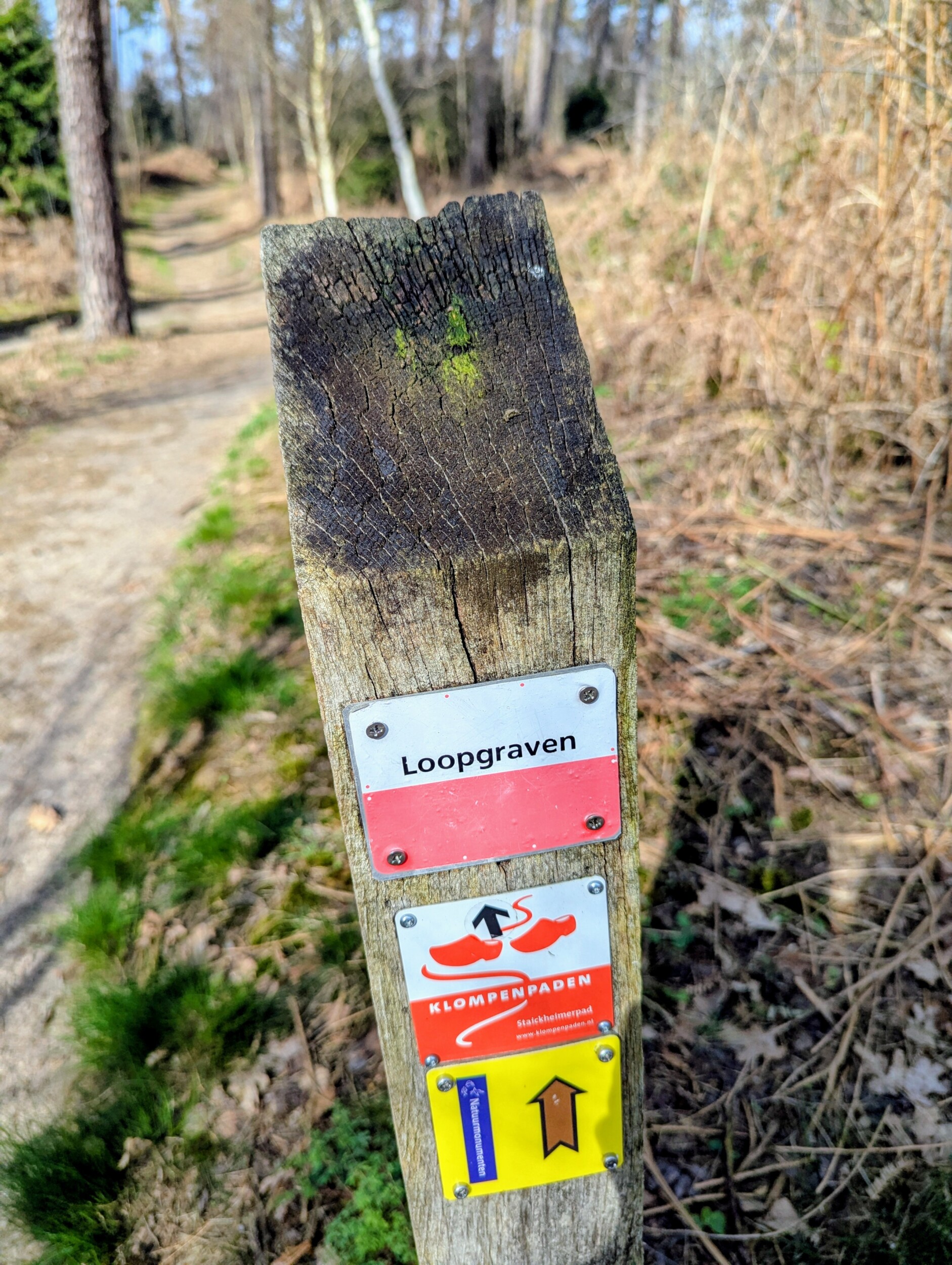 Loopgravenroute Bergherbos (Montferland) - meerdaagse wandeling Gelderland