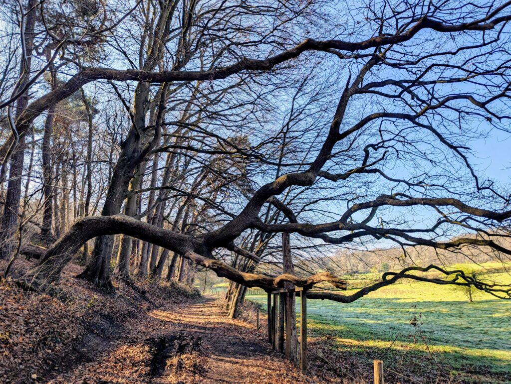 Meerdaagse wandeling Gelderland - Nabij Mookerheide
