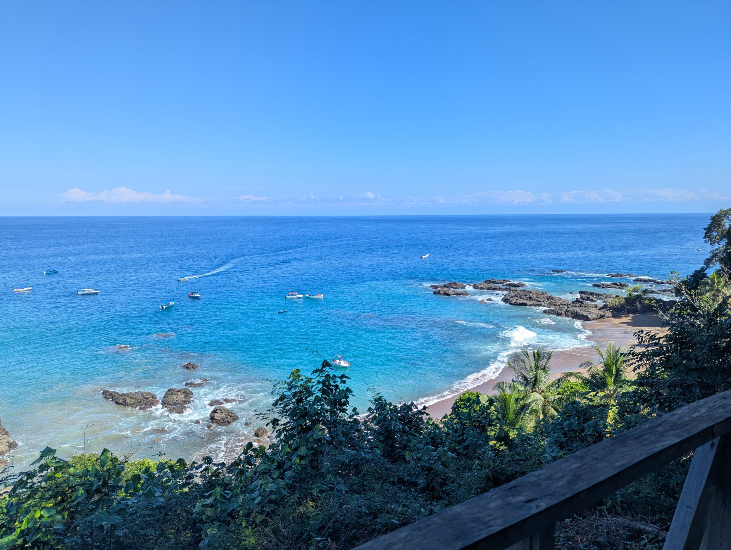 Drake Bay en Corcovado National Park: Snorkelen, Wandelen en Kikkers Spotten in Costa Rica's Wildste Hoek