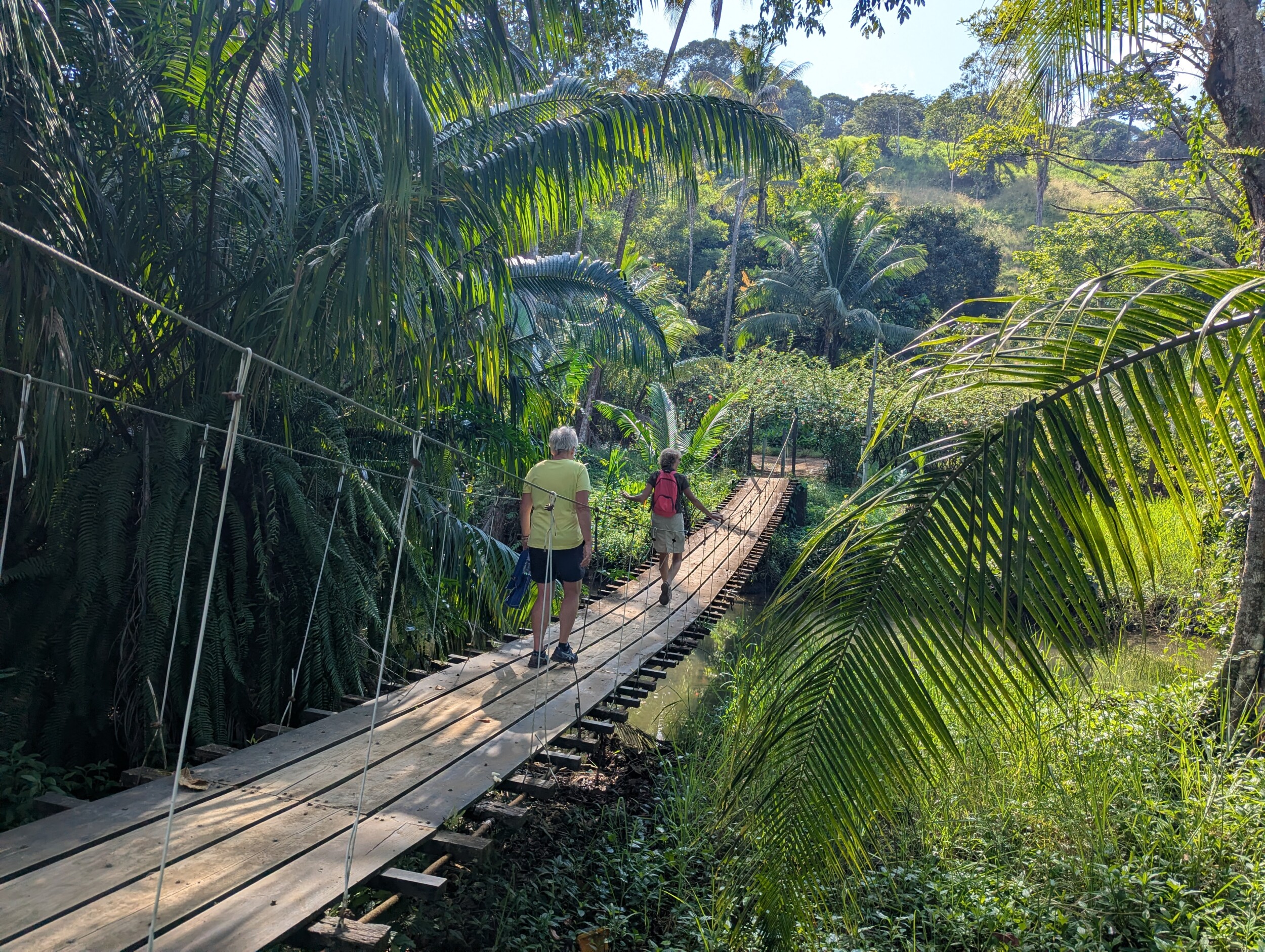 Drake Bay en Corcovado National Park: Snorkelen, Wandelen en Kikkers Spotten in Costa Rica's Wildste Hoek