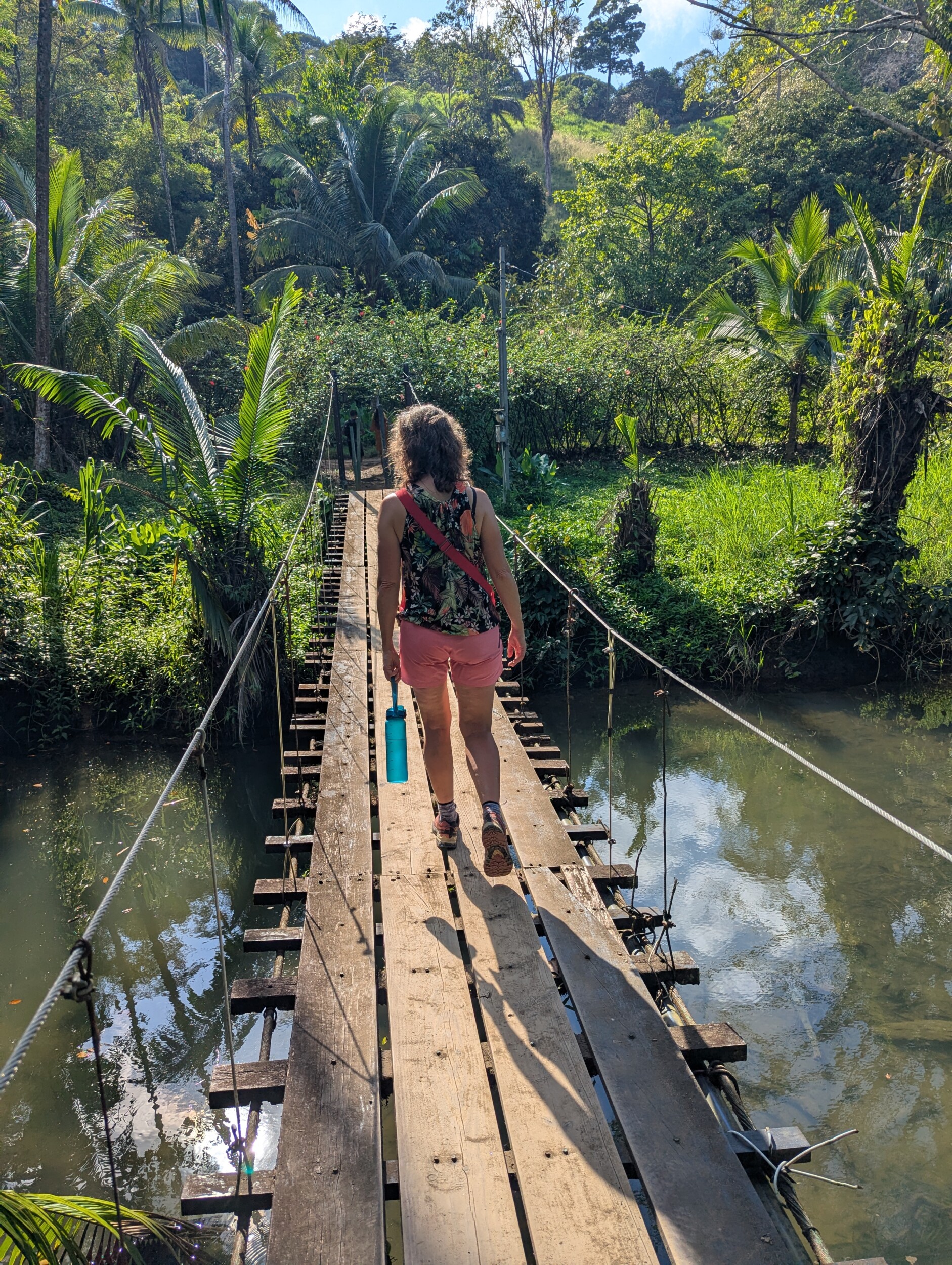 Drake Bay en Corcovado National Park: Snorkelen, Wandelen en Kikkers Spotten in Costa Rica's Wildste Hoek
