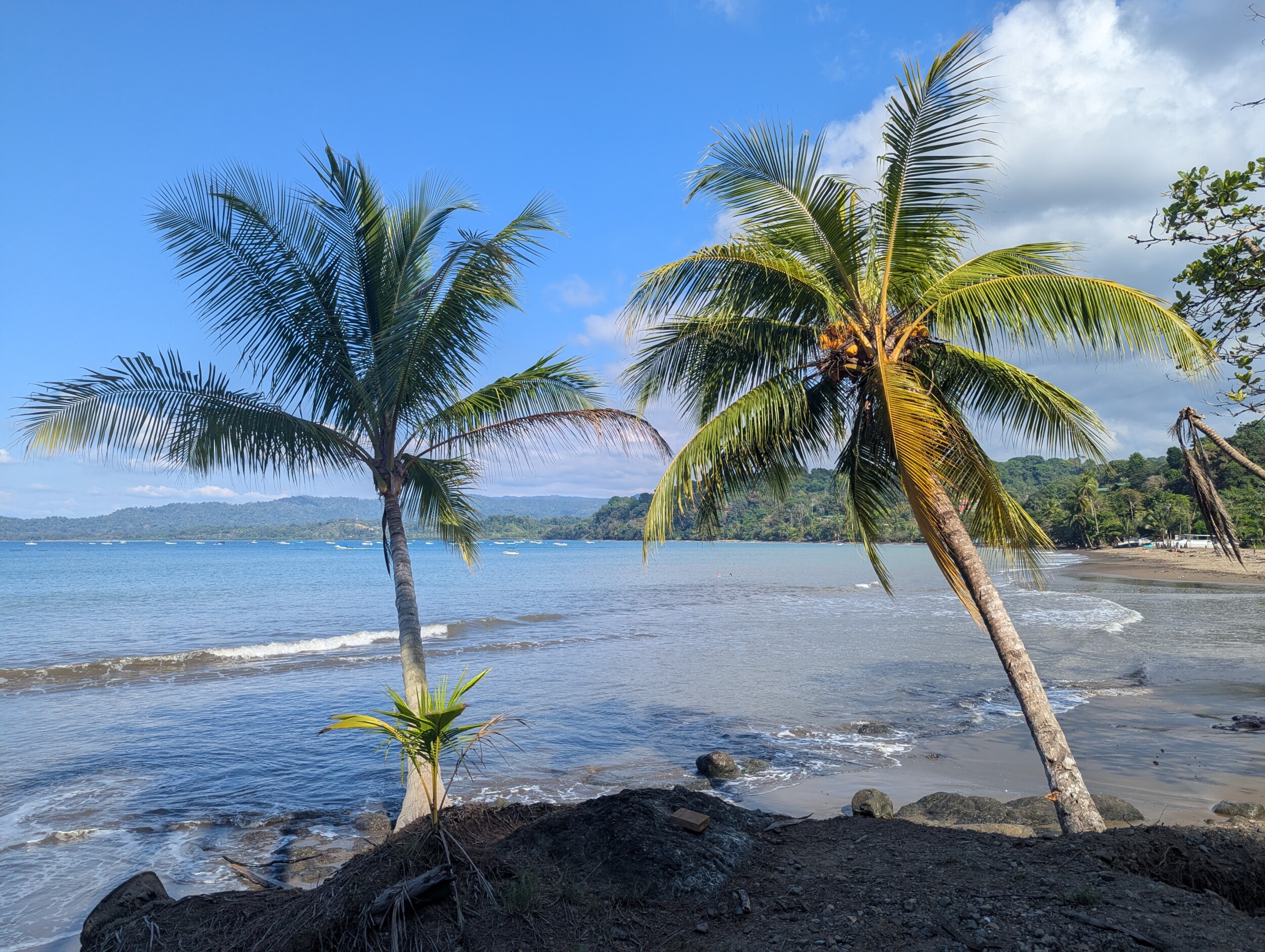 Drake Bay en Corcovado National Park: Snorkelen, Wandelen en Kikkers Spotten in Costa Rica's Wildste Hoek