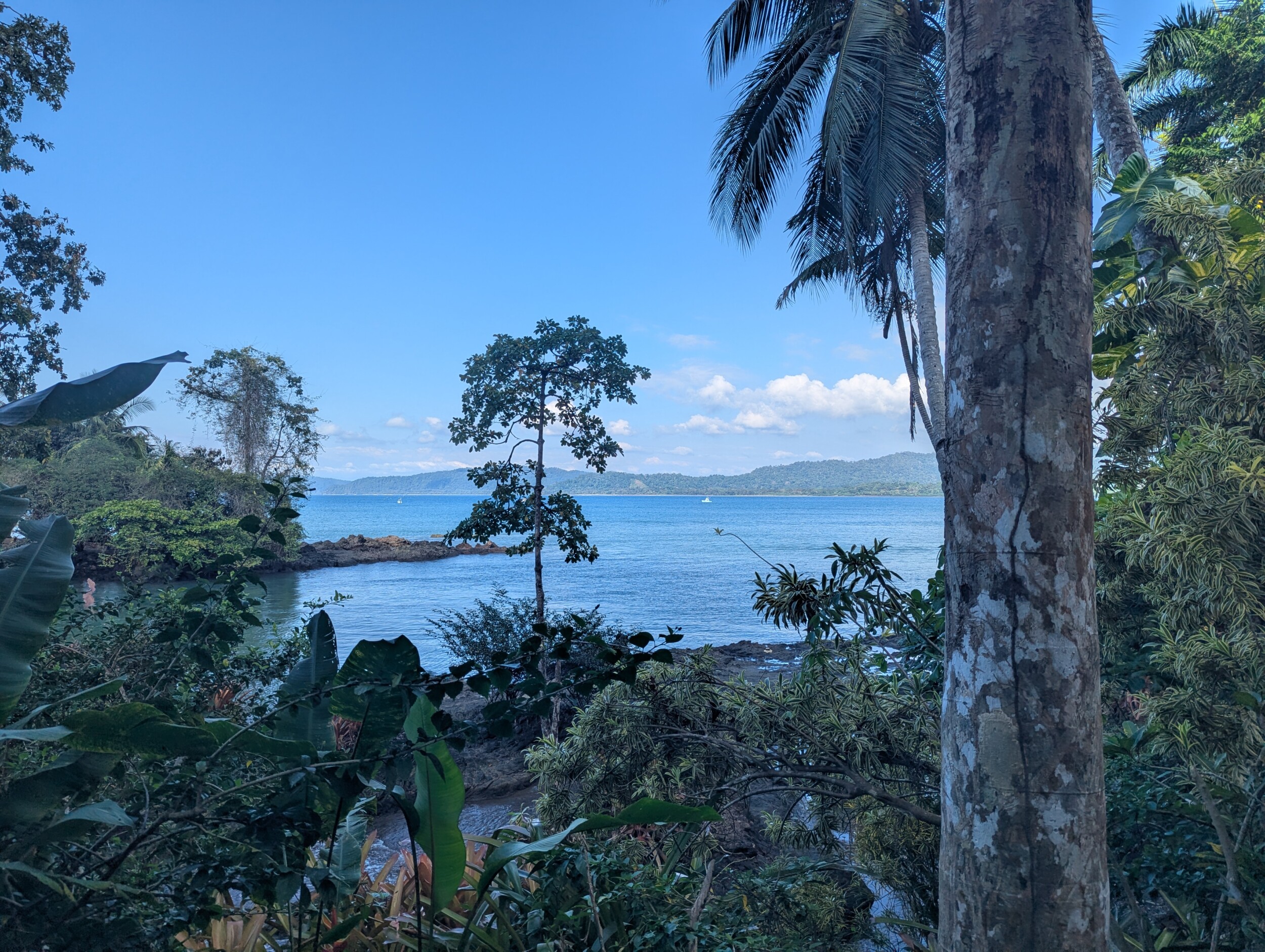 Drake Bay en Corcovado National Park: Snorkelen, Wandelen en Kikkers Spotten in Costa Rica's Wildste Hoek