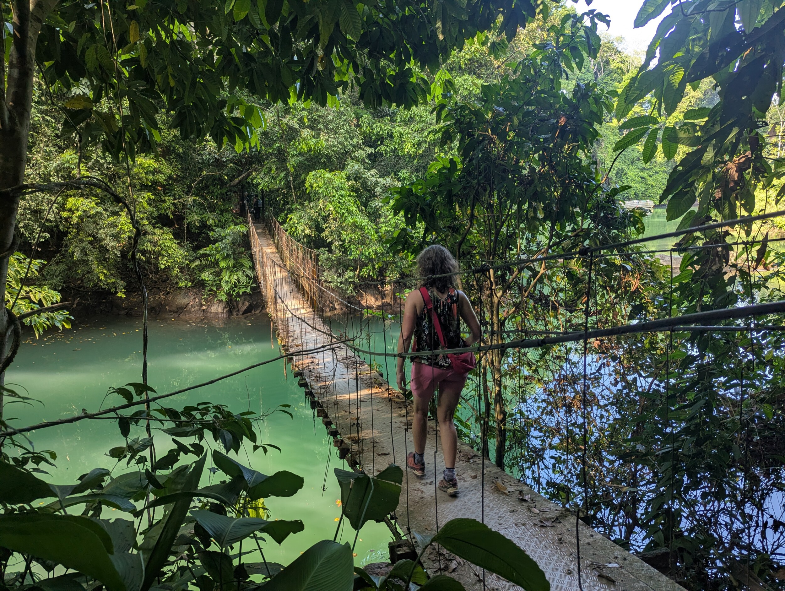 Header Hangbrug bij Drake Bay