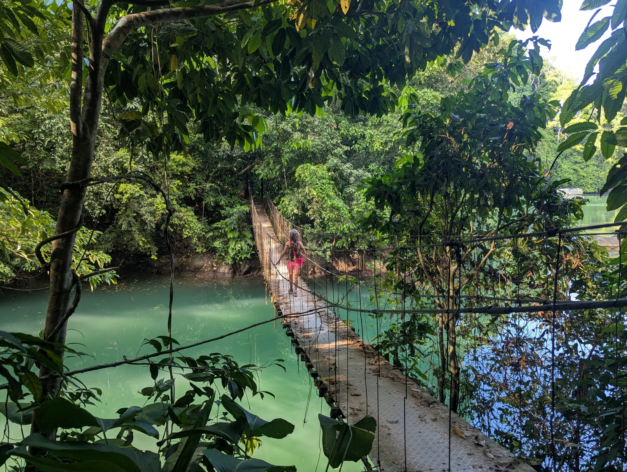 Drake Bay en Corcovado National Park: Snorkelen, Wandelen en Kikkers Spotten in Costa Rica's Wildste Hoek