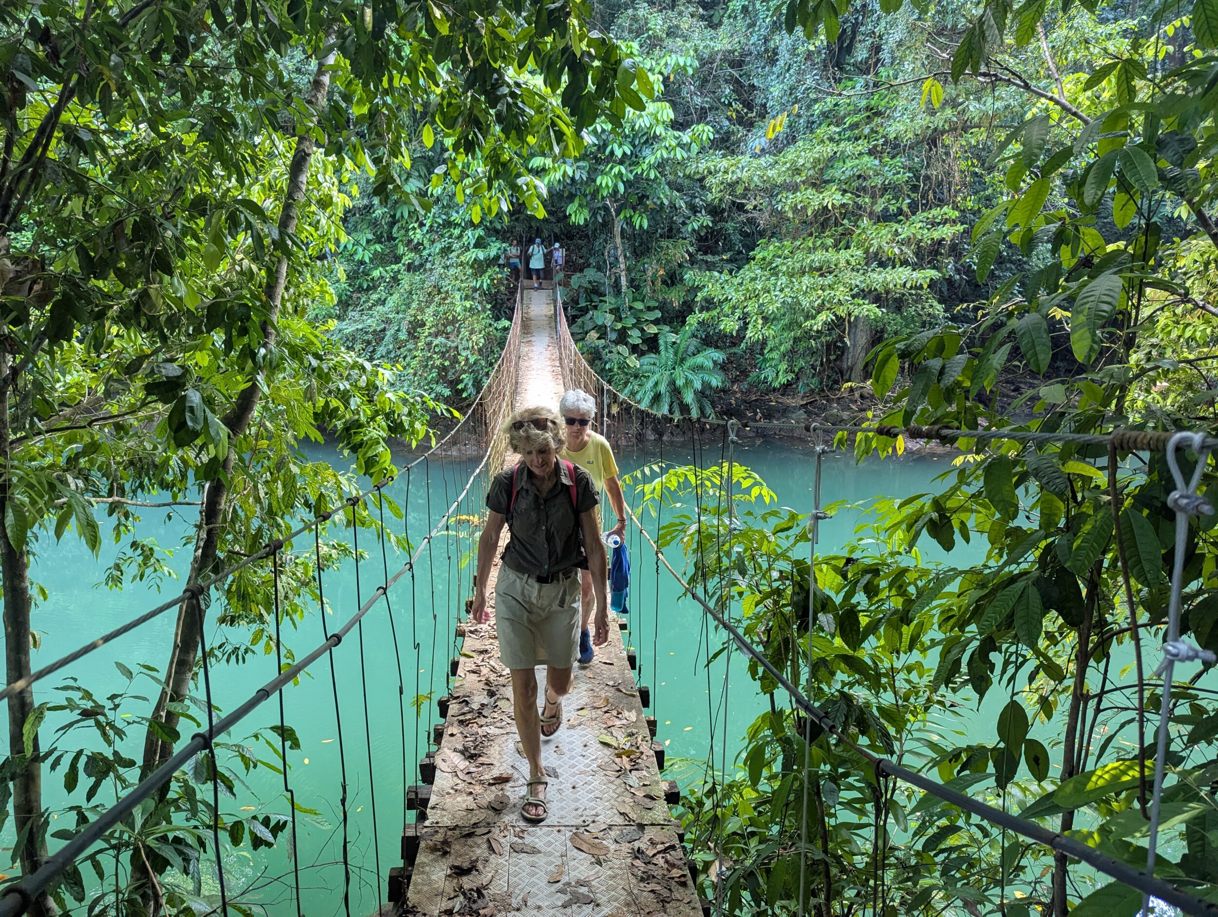 Drake Bay en Corcovado National Park: Snorkelen, Wandelen en Kikkers Spotten in Costa Rica's Wildste Hoek