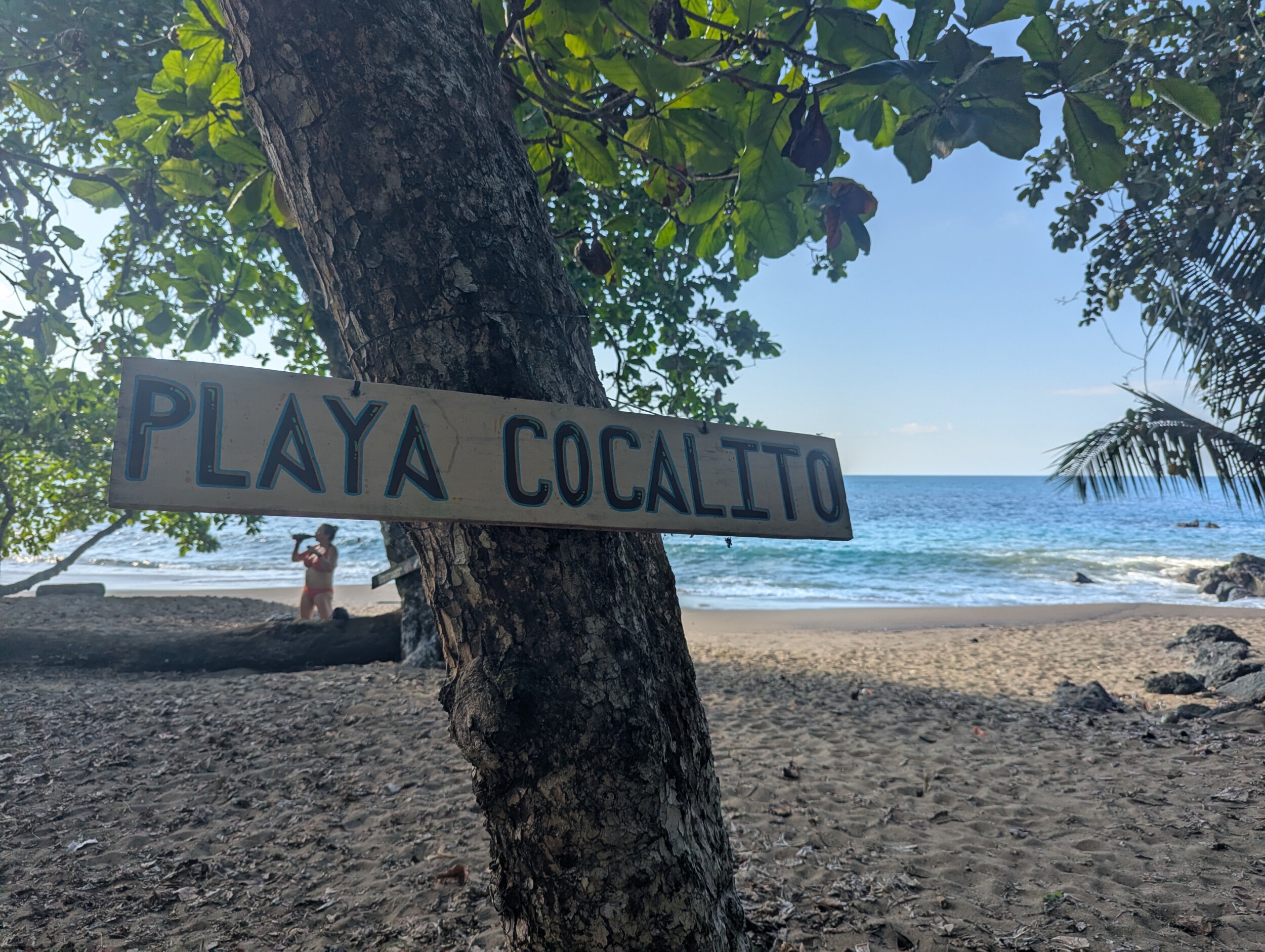 Drake Bay en Corcovado National Park: Snorkelen, Wandelen en Kikkers Spotten in Costa Rica's Wildste Hoek