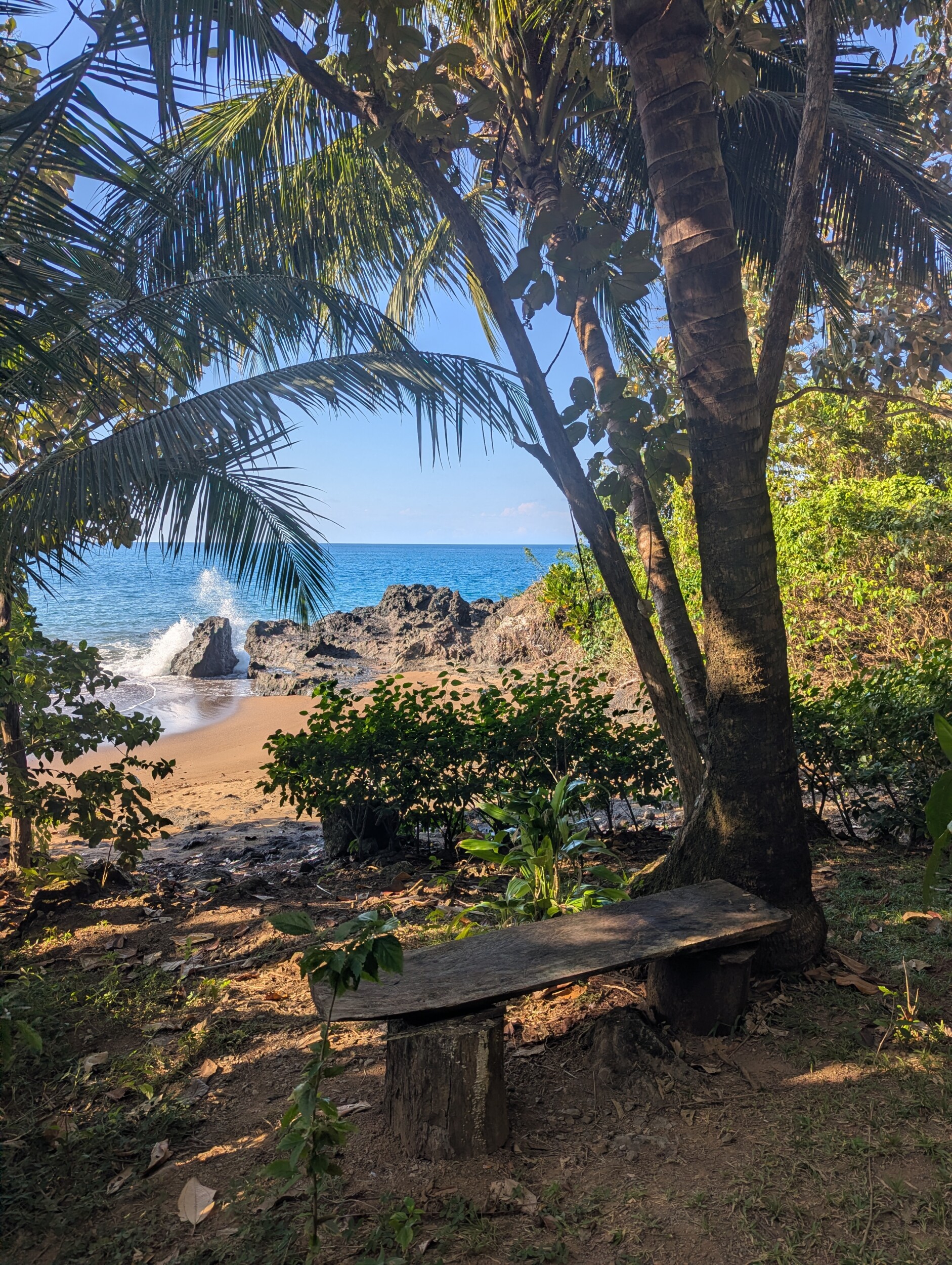 Drake Bay en Corcovado National Park: Snorkelen, Wandelen en Kikkers Spotten in Costa Rica's Wildste Hoek